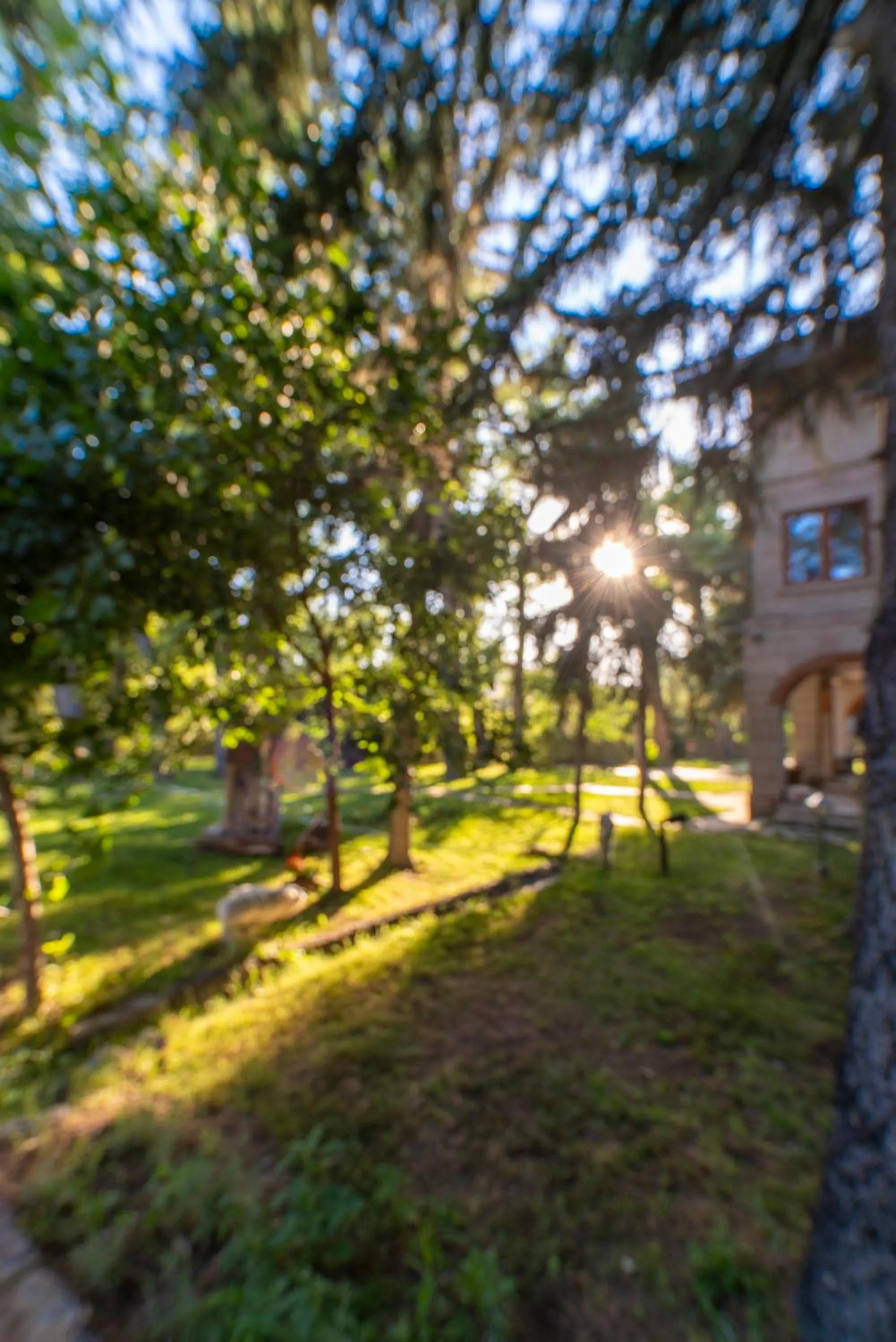 Other in SUNOLUS VINEYARDHOUSe