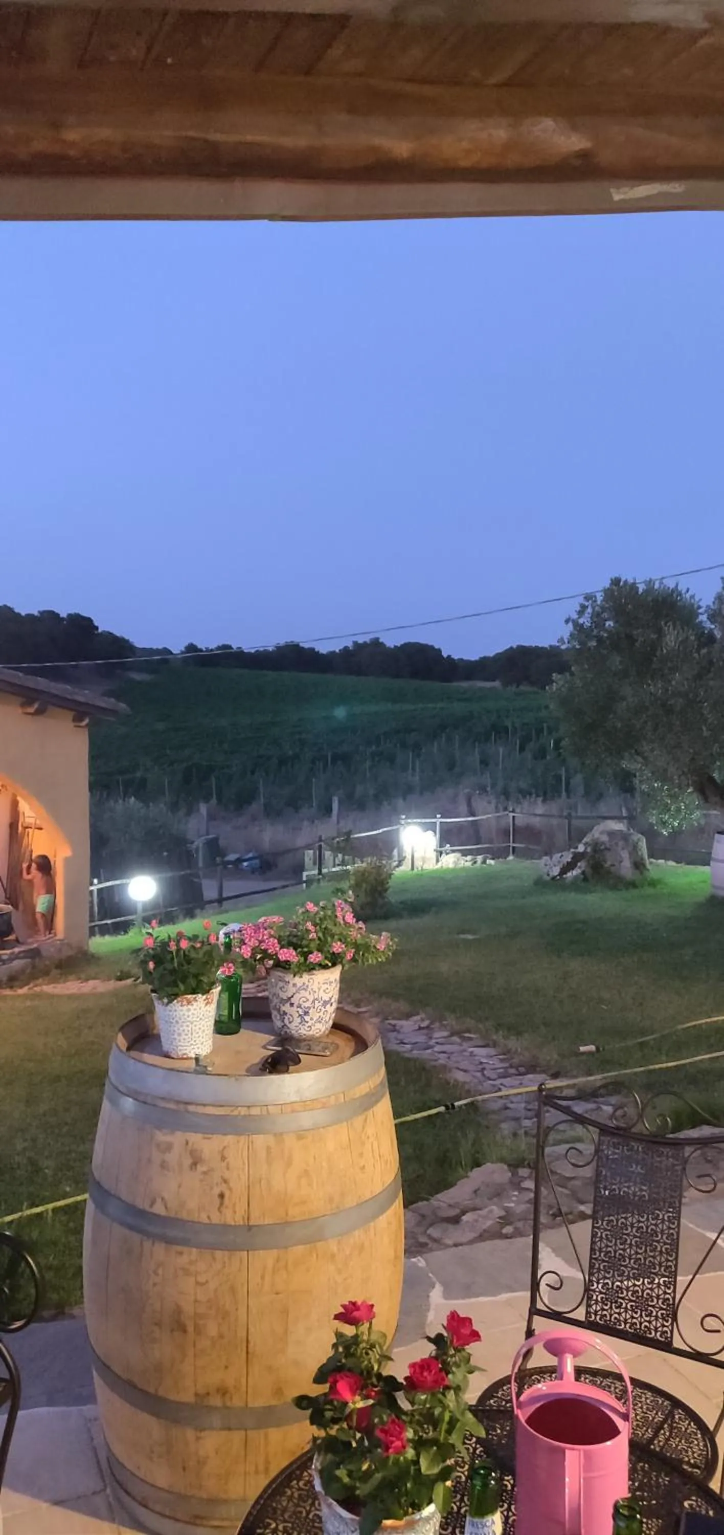 Garden view in Cantina Perandria
