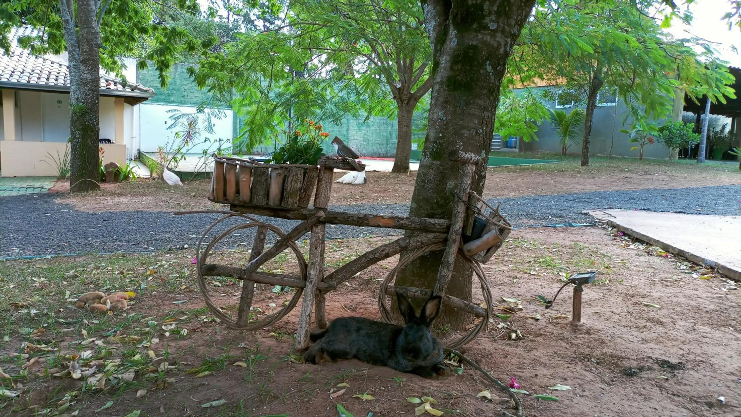 Garden in Biomas Hotel