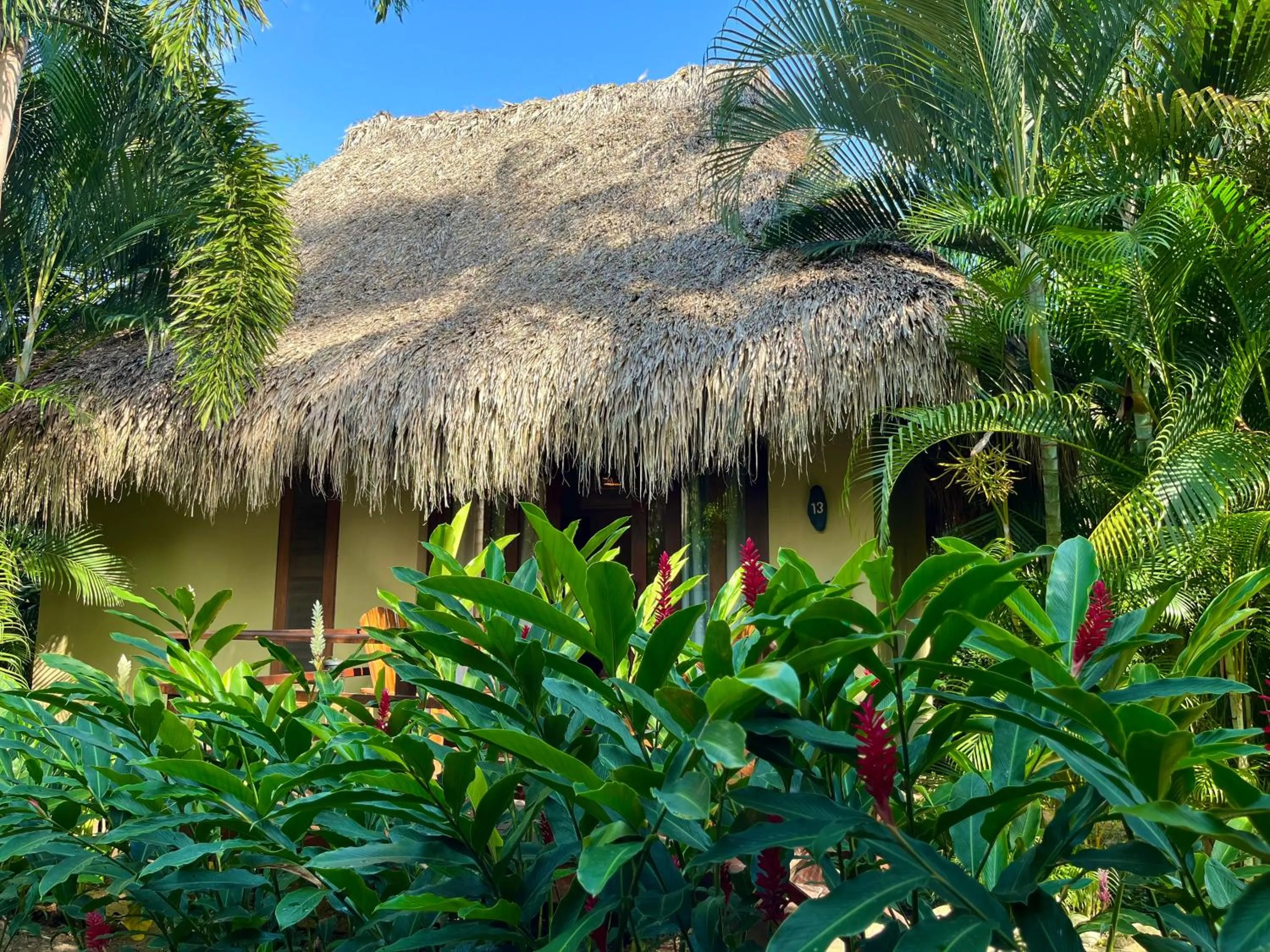 Day in Senda Koguiwa