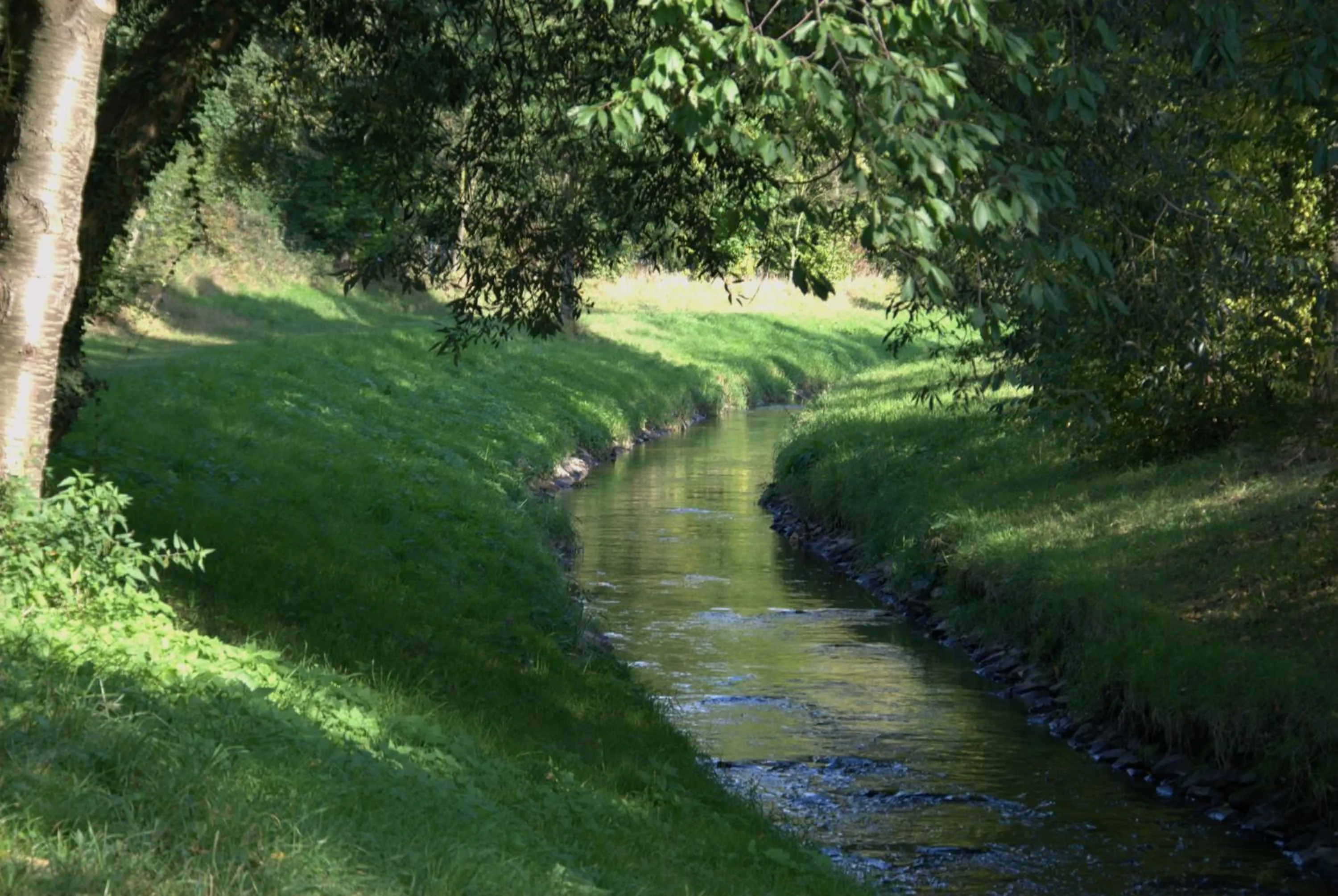 Natural landscape in AKZENT Land-Hotel Zum Schwan, Garni WEILERSWIST-METTERNICH, 3 E-LADESTATIONEN, Nähe PHANTASIALAND, PALMENPARADIES Euskirchen