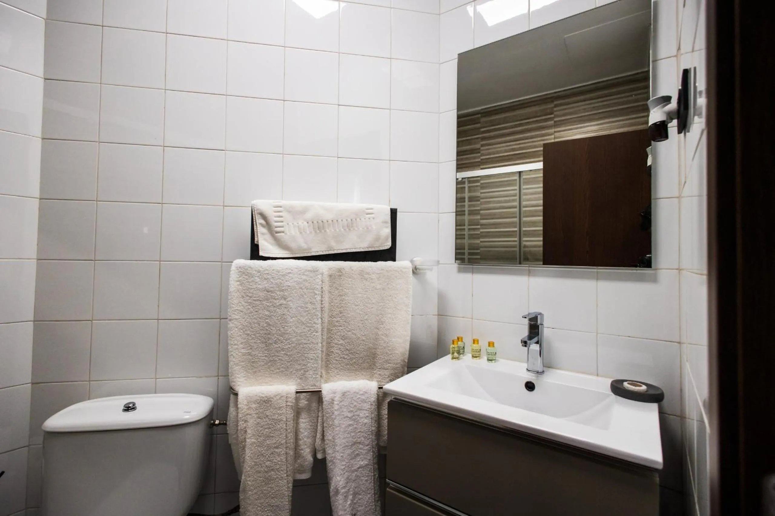 Bathroom in Apartamentos Reyes Católicos