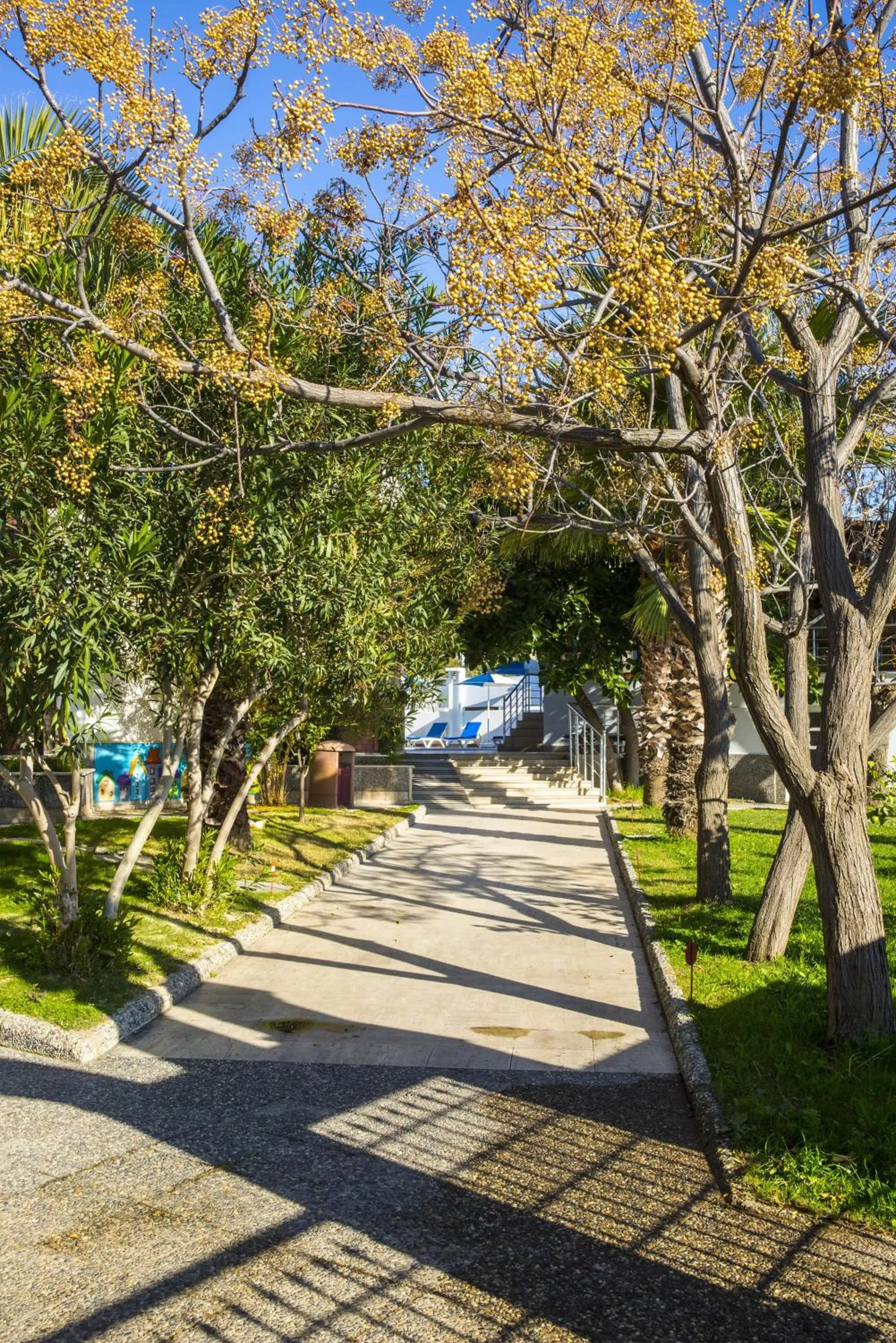 Natural landscape in Bodrum Marma Otel
