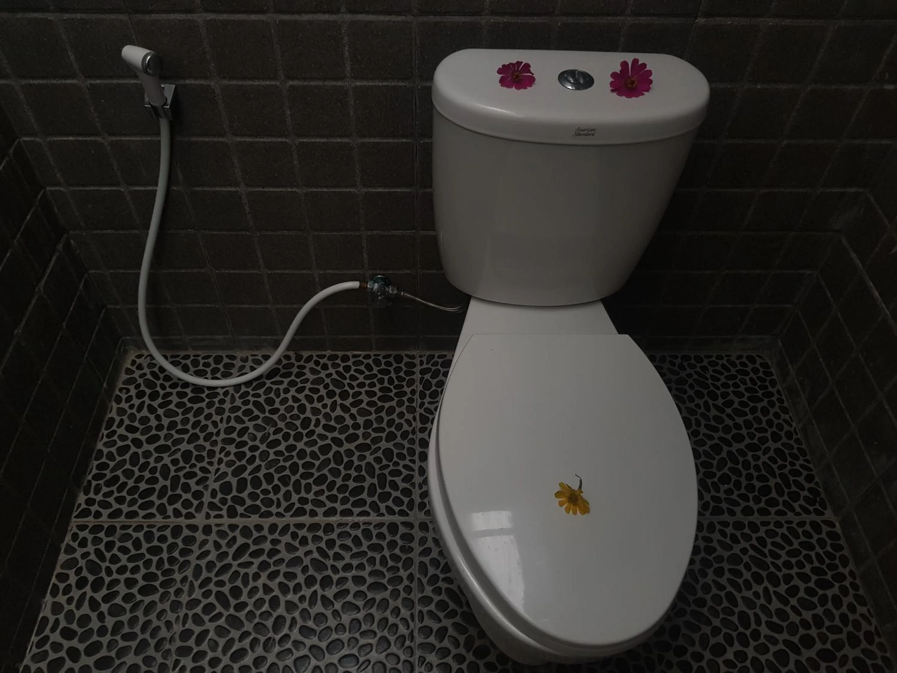 Bathroom in Tropical Sunday Bungalow - Surf And Stay