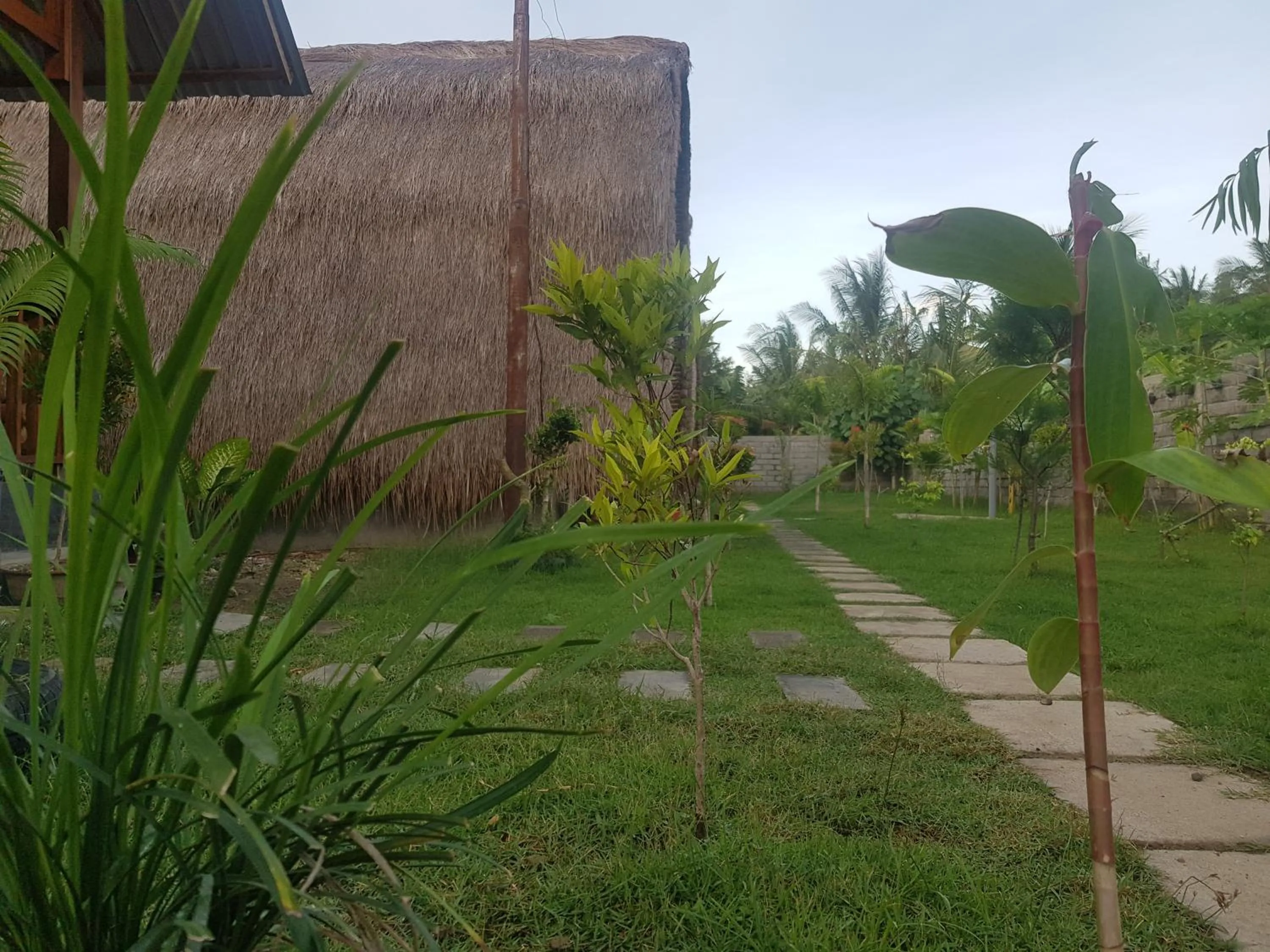 Garden in Tropical Sunday Bungalow - Surf And Stay