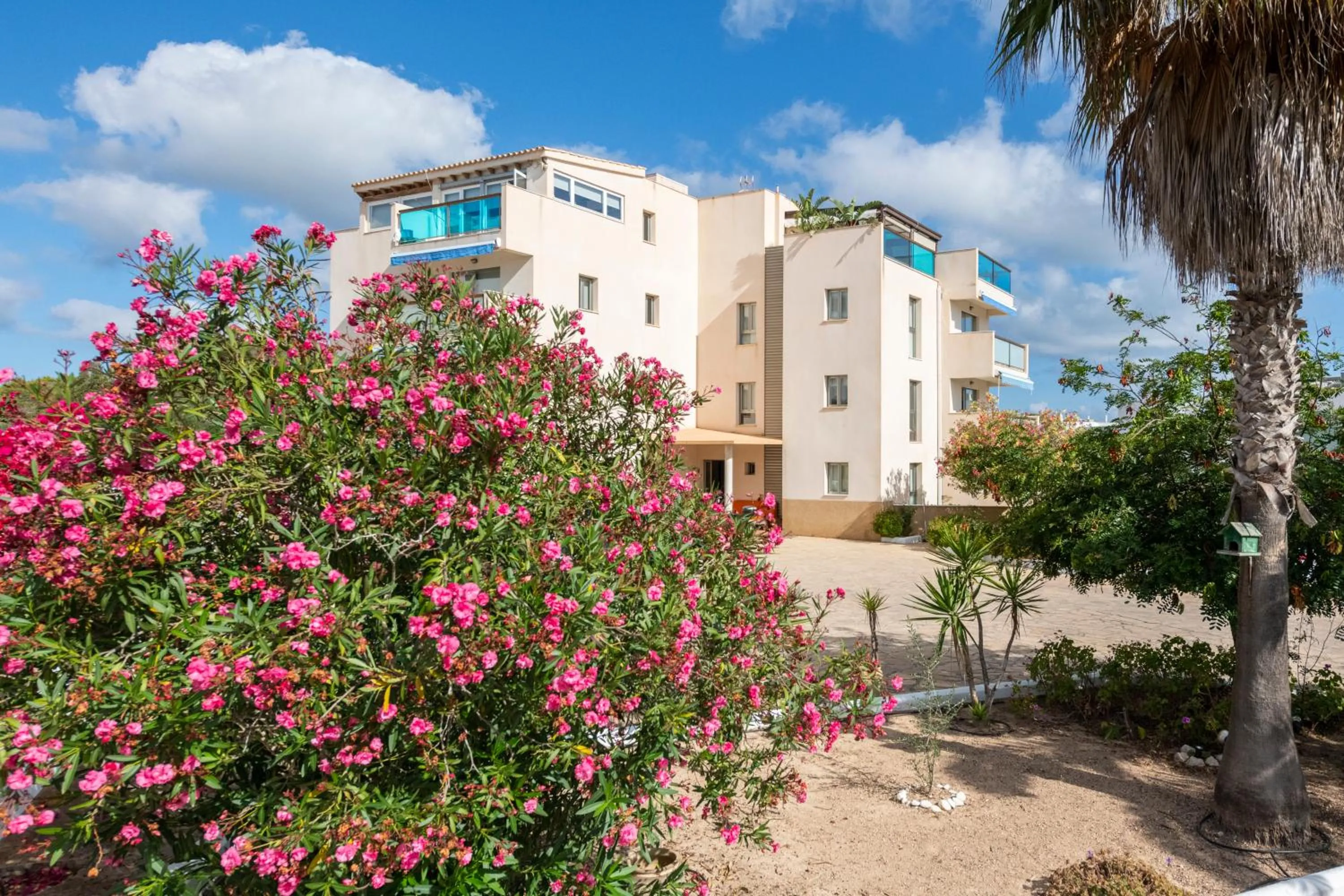 Apartamentos Catalina