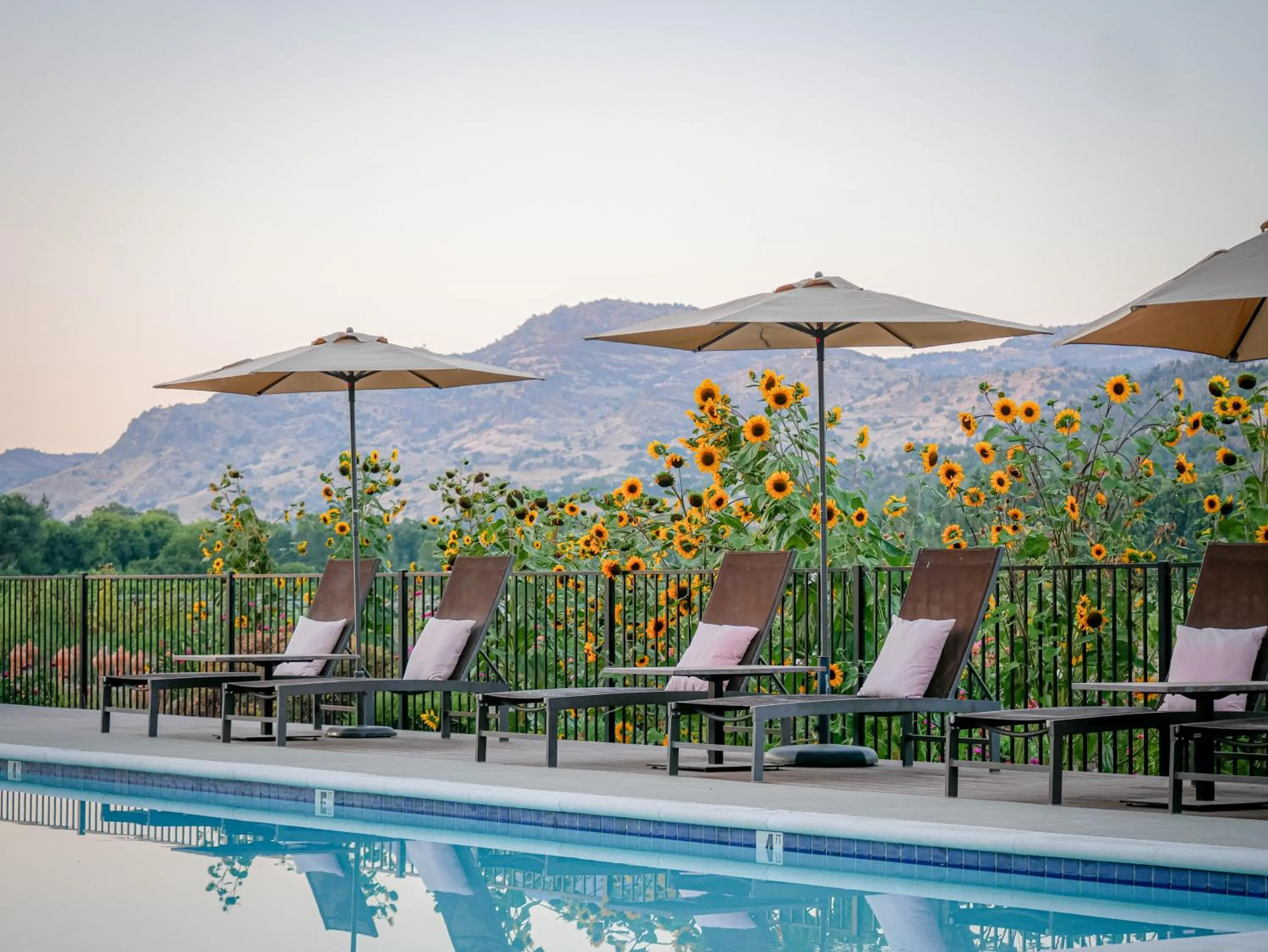 Bann at Oak Knoll Napa