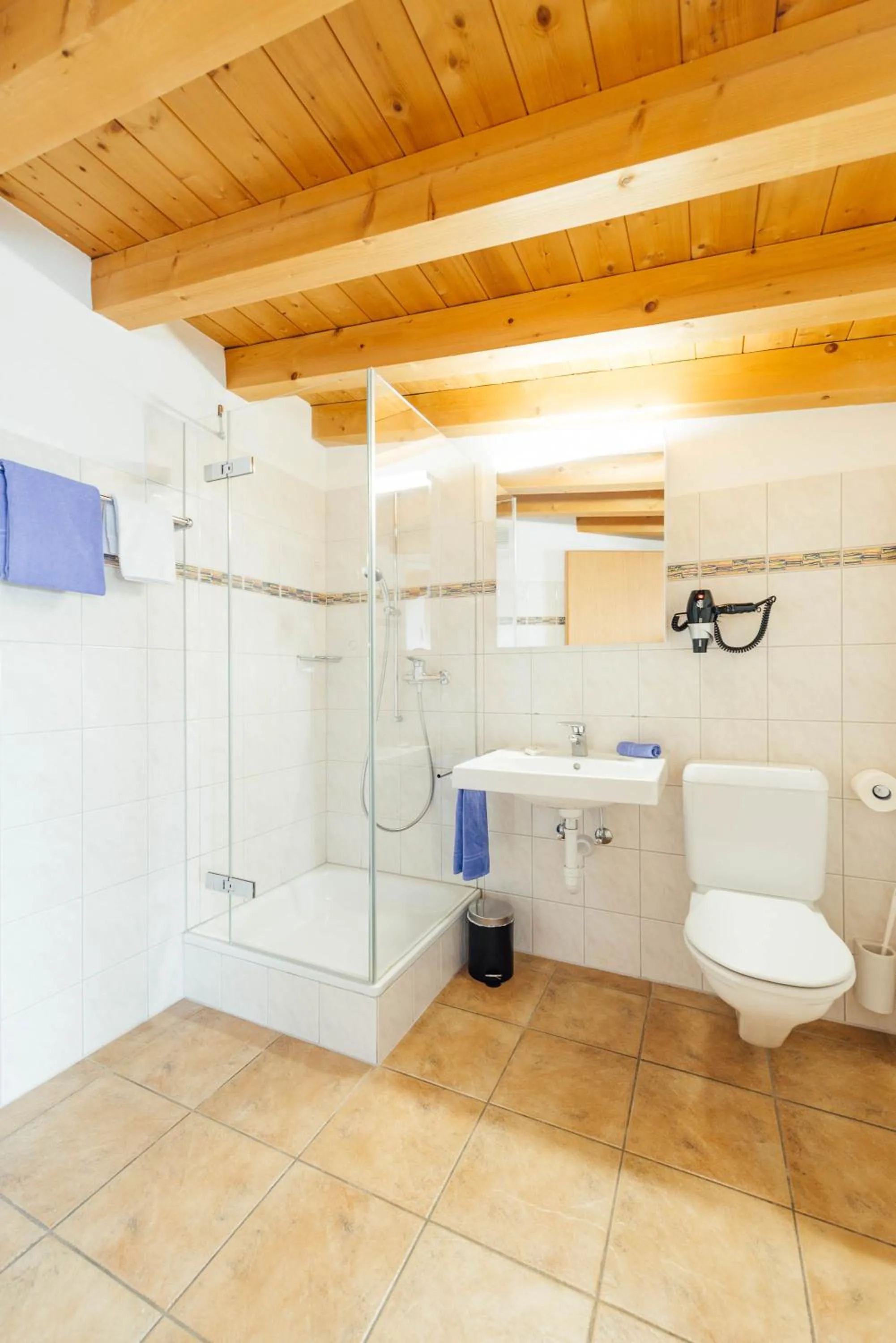 Shower in Hotel Krüzli - dapi 1914