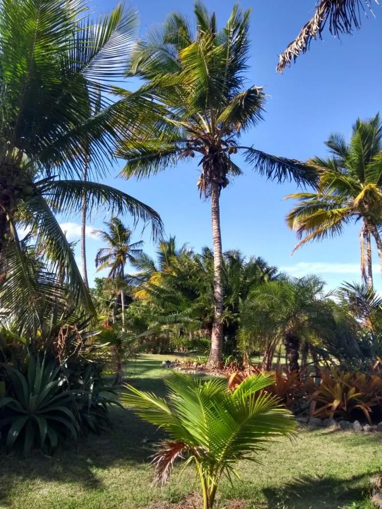 Garden view in HOTEL PRAIA DA PAIXÃO