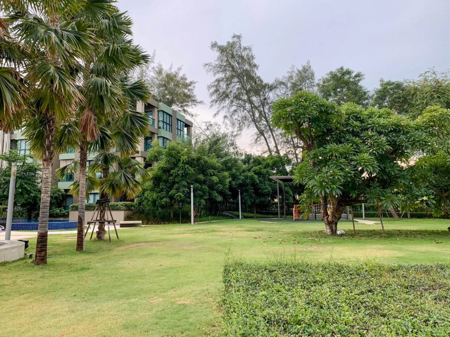 Garden in lumpini park beach