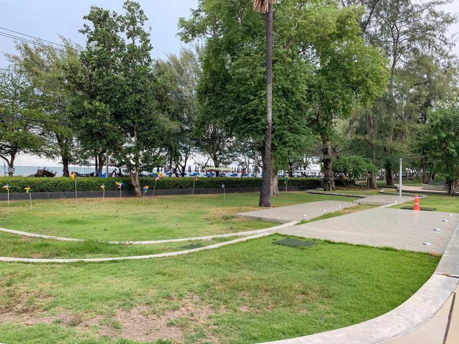 Garden in lumpini park beach