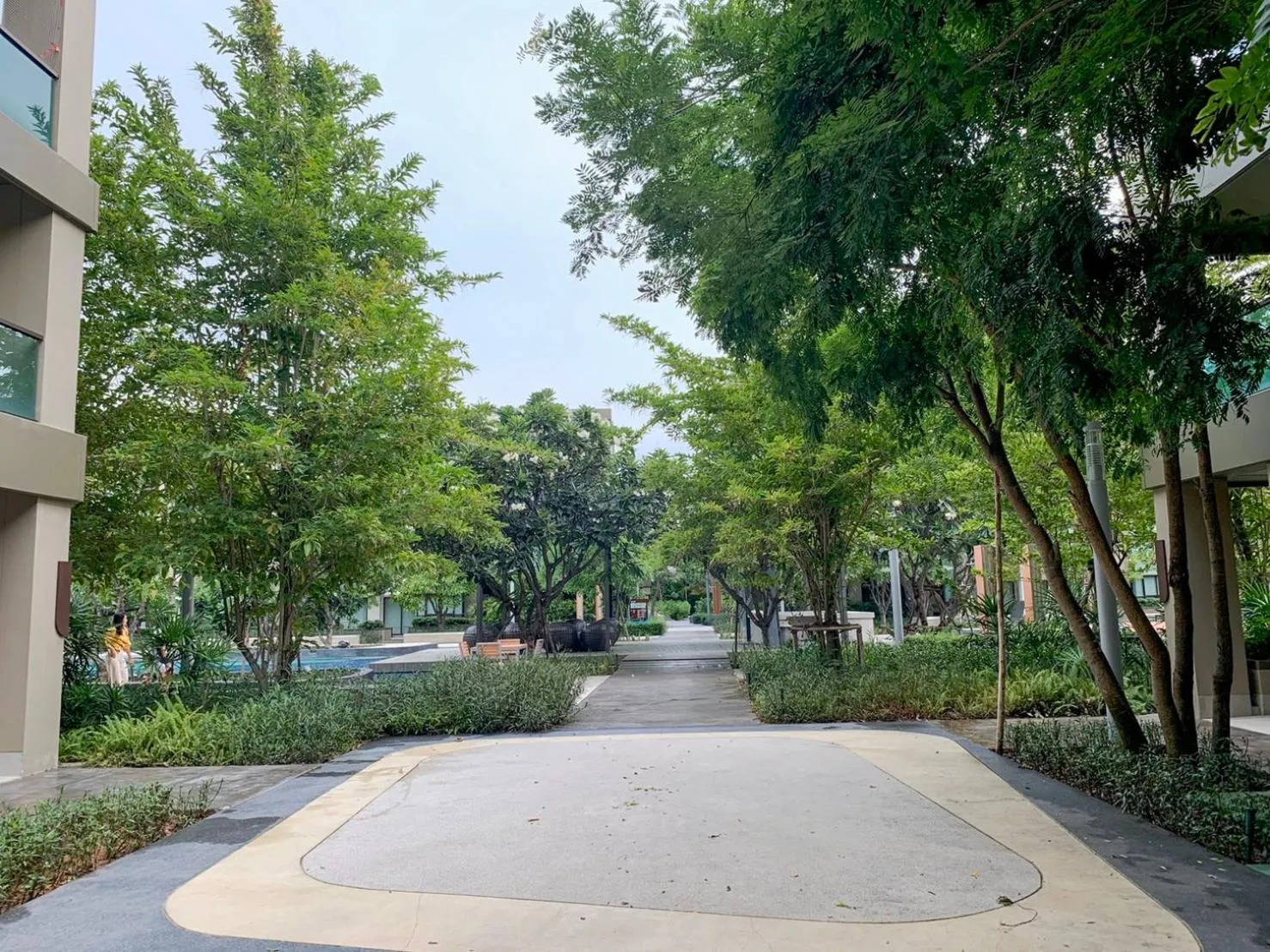 Garden in lumpini park beach