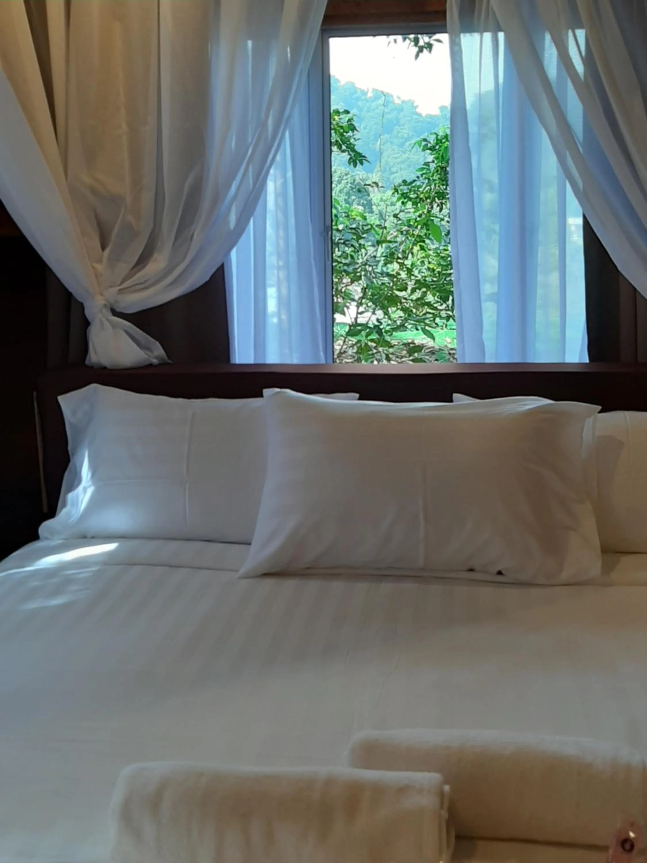 Bed in Utan Teluk Nipah