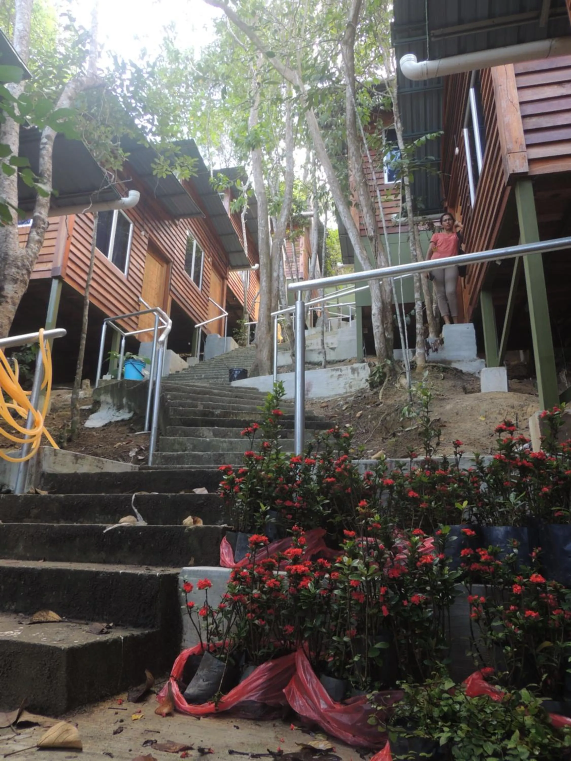 Property building in Utan Teluk Nipah