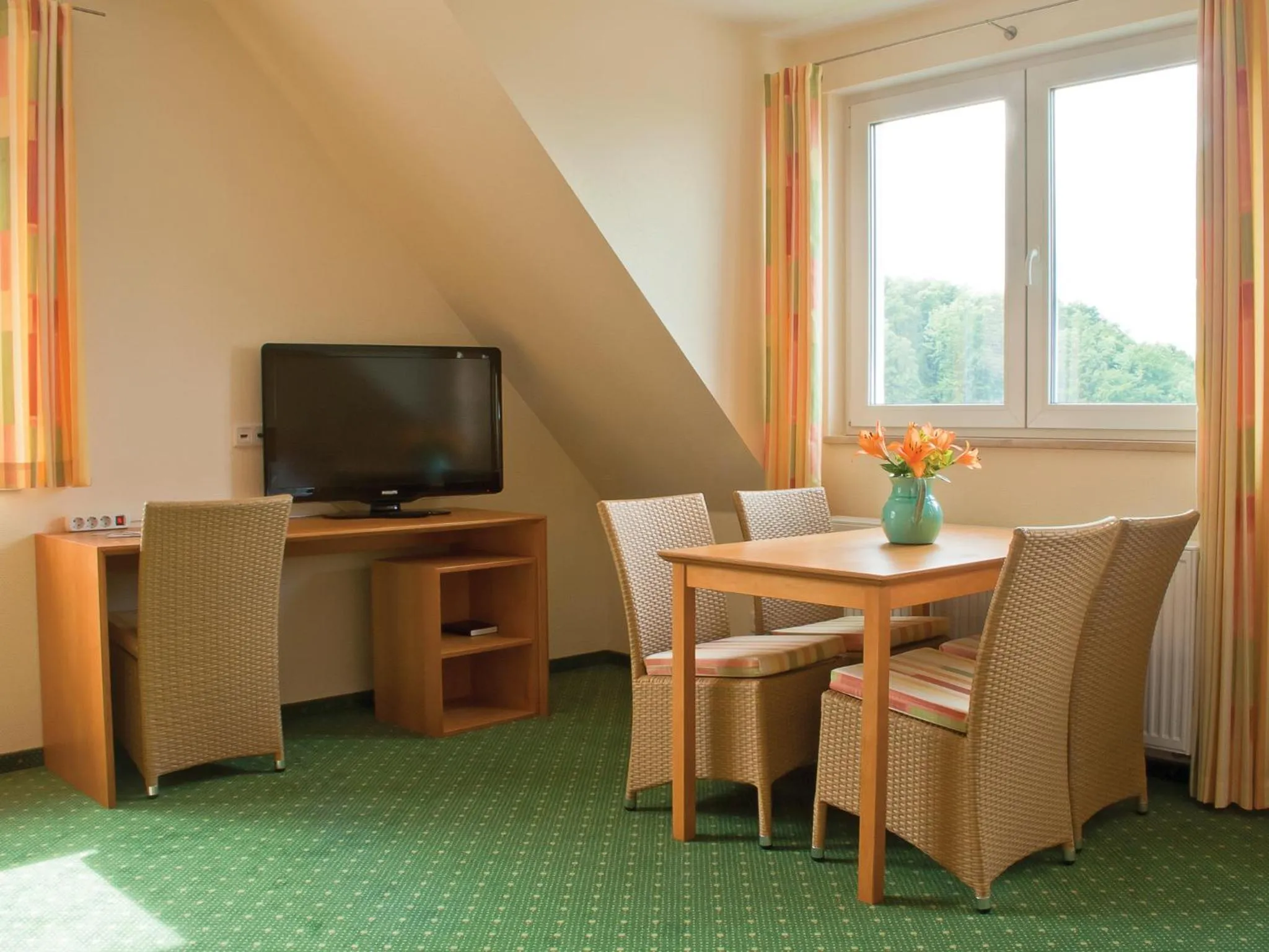 TV and multimedia in Berggasthof Hotel Igelwirt