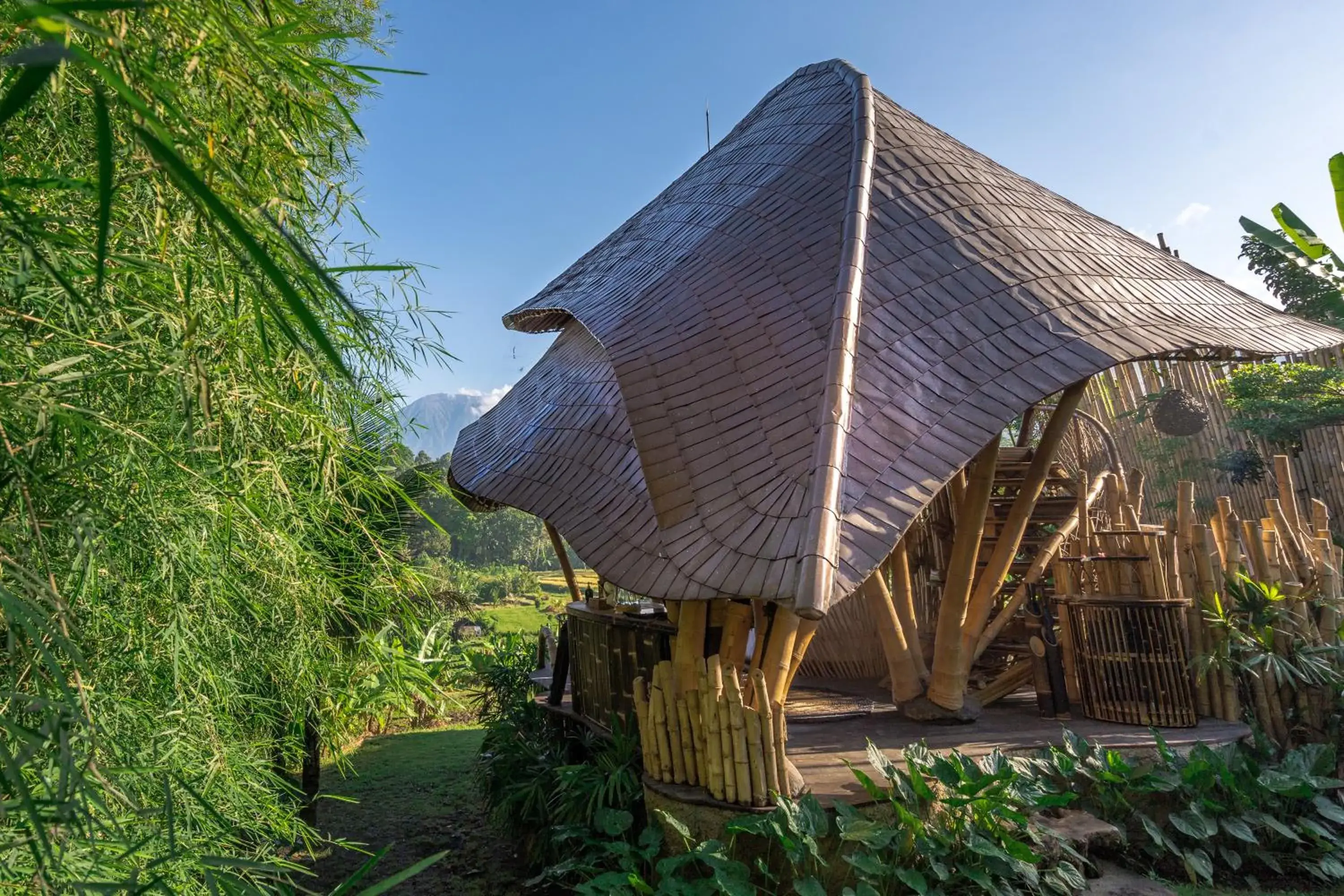 Cobra in Veluvana Bali Cobra in Veluvana Bali