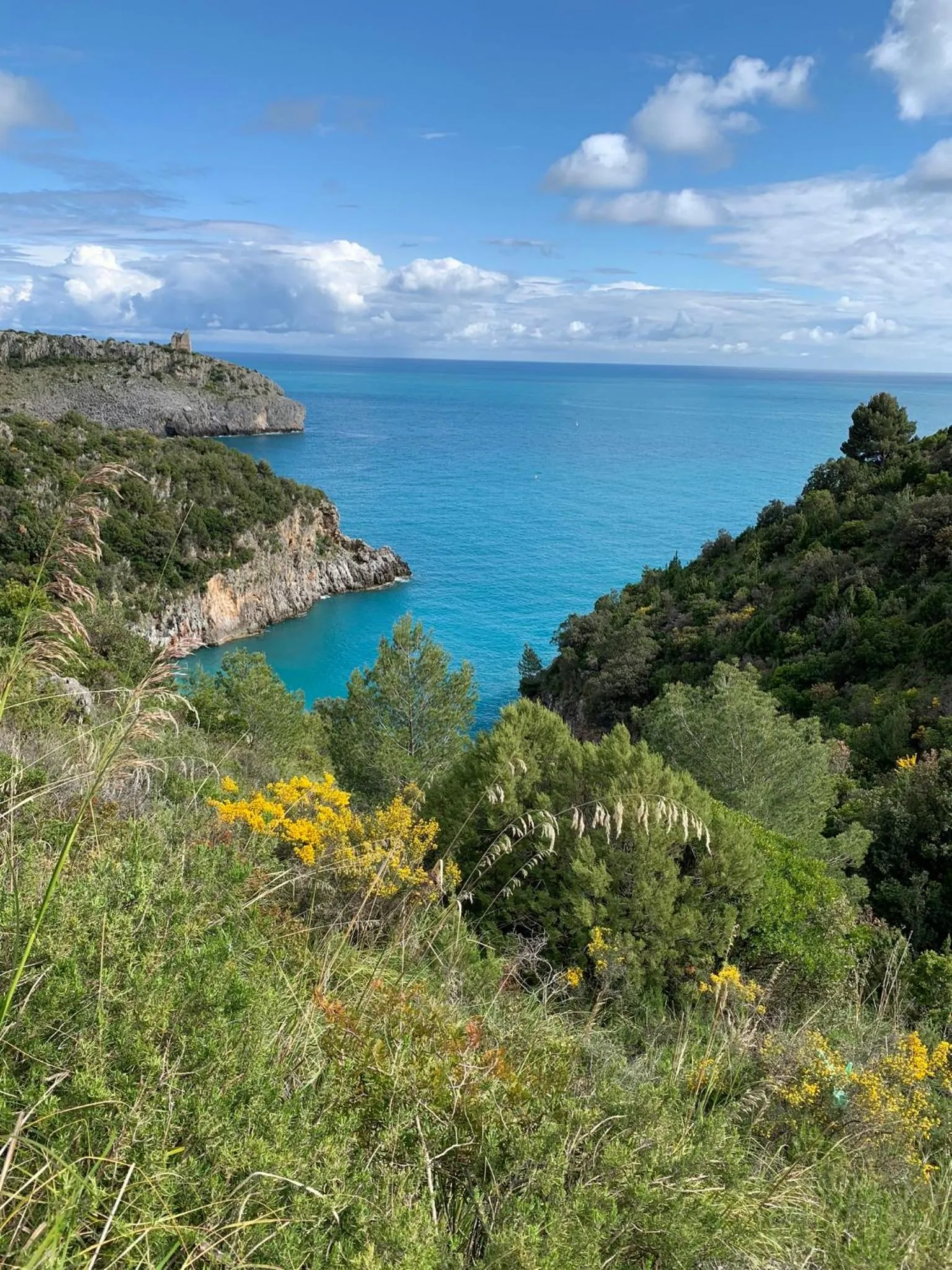 B&B BUICOVILLE CAMEROTA