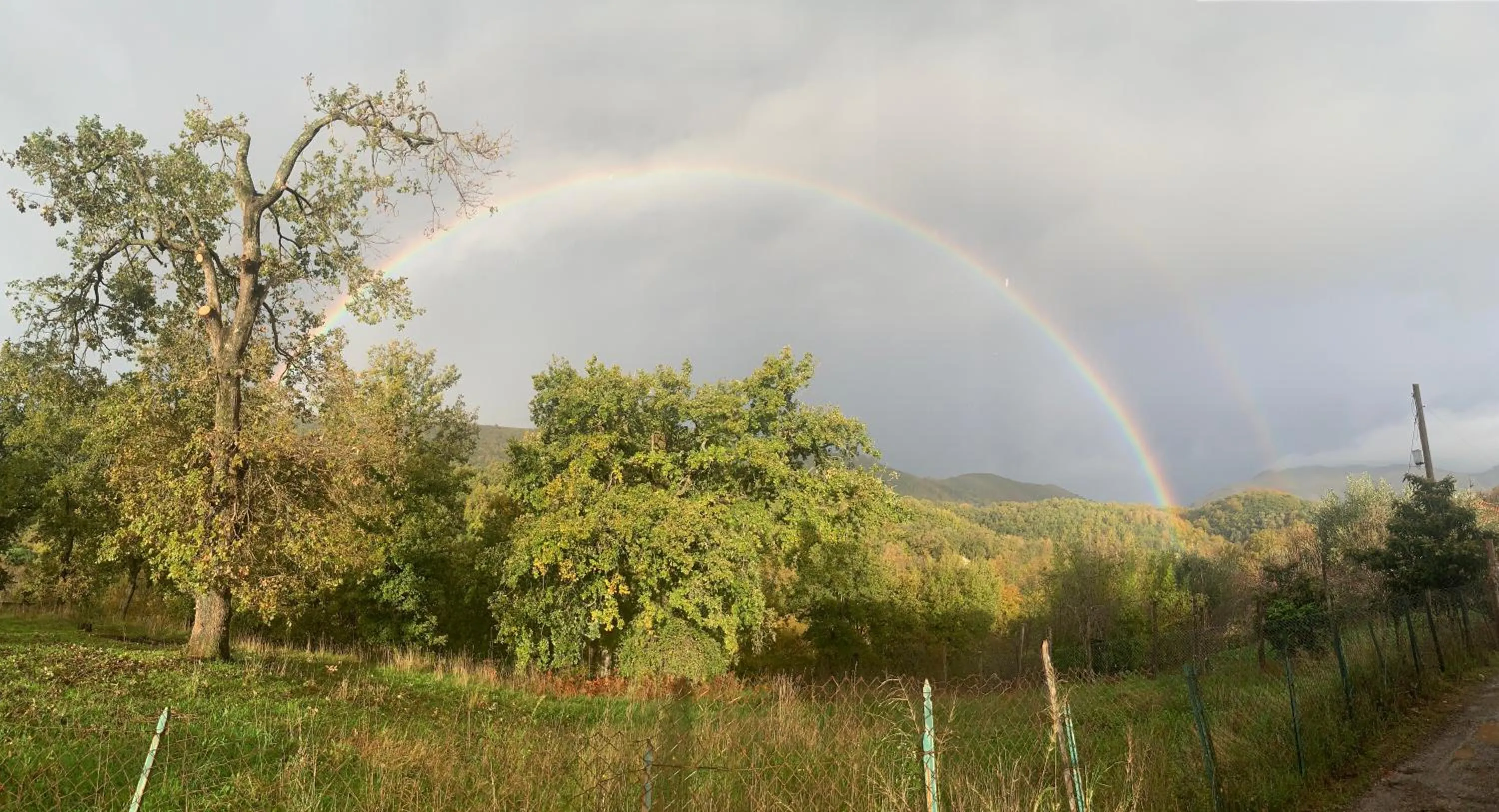 B&B BUICOVILLE CAMEROTA