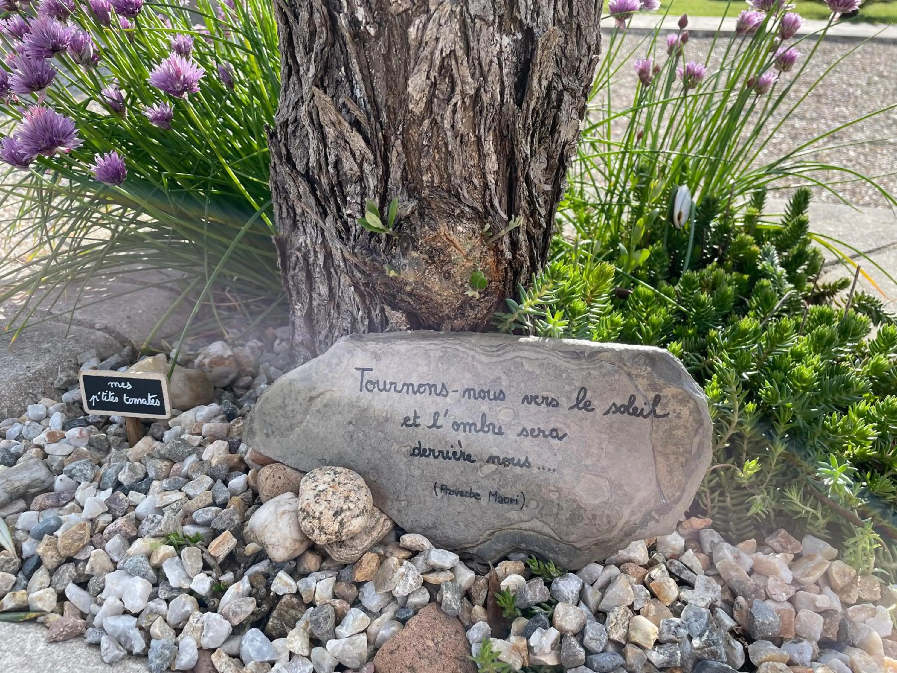 Maison d'hôtes L'air d'antan