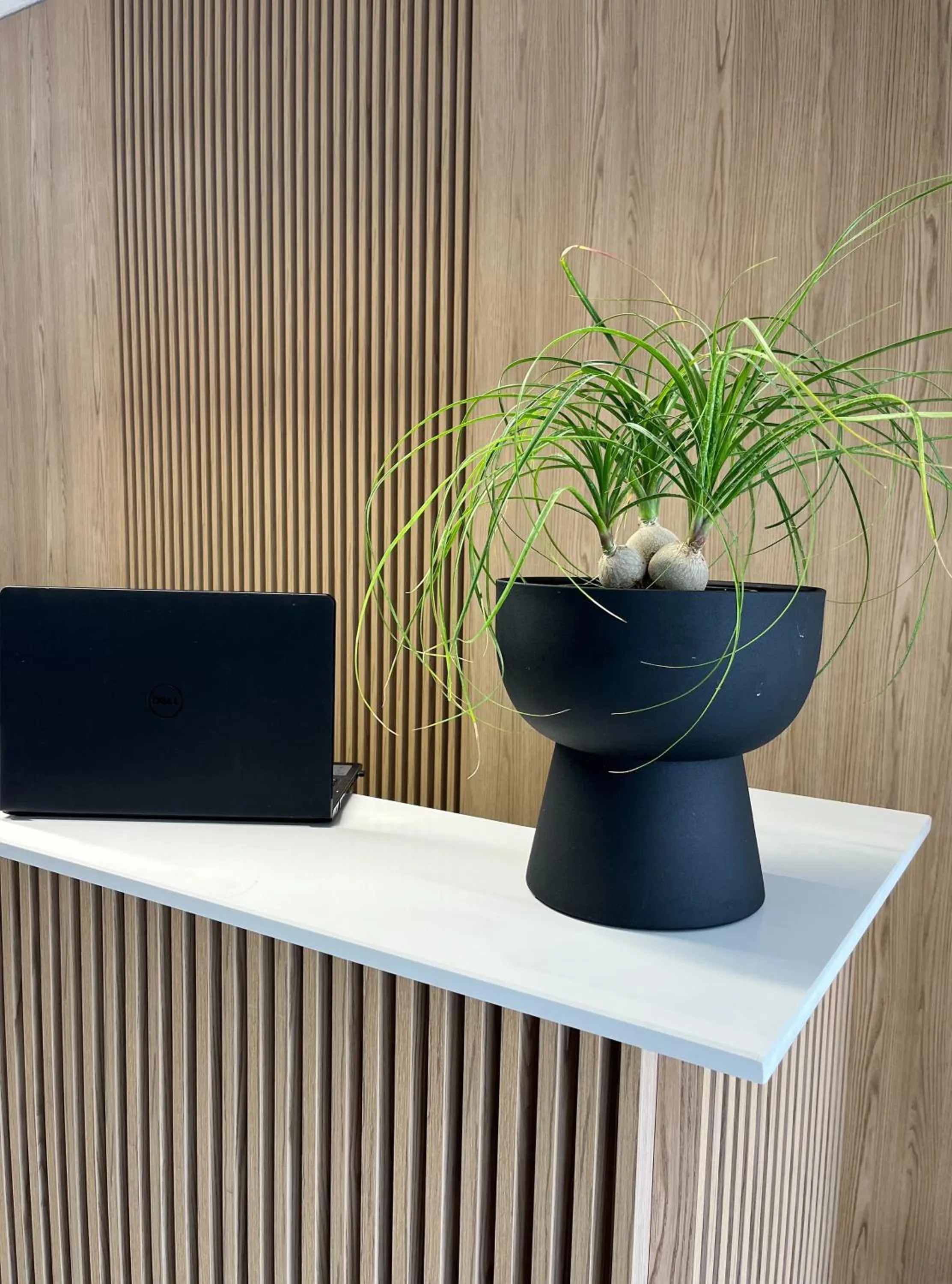 Lobby or reception in Comfort Zefyros