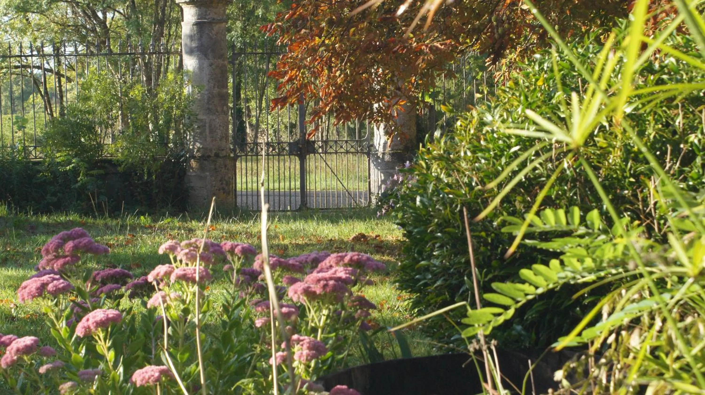 Garden view in Chambres d'hôtes La Hourqueyre