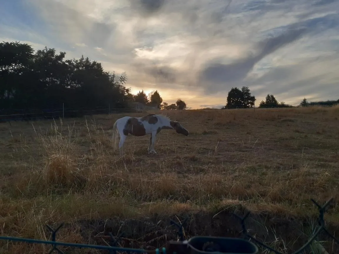 maison blanche piscine et petit déjeuner