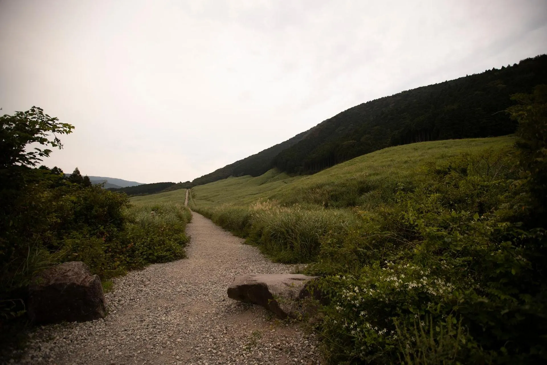 Nearby landmark in Hotel Sengokuhara 533