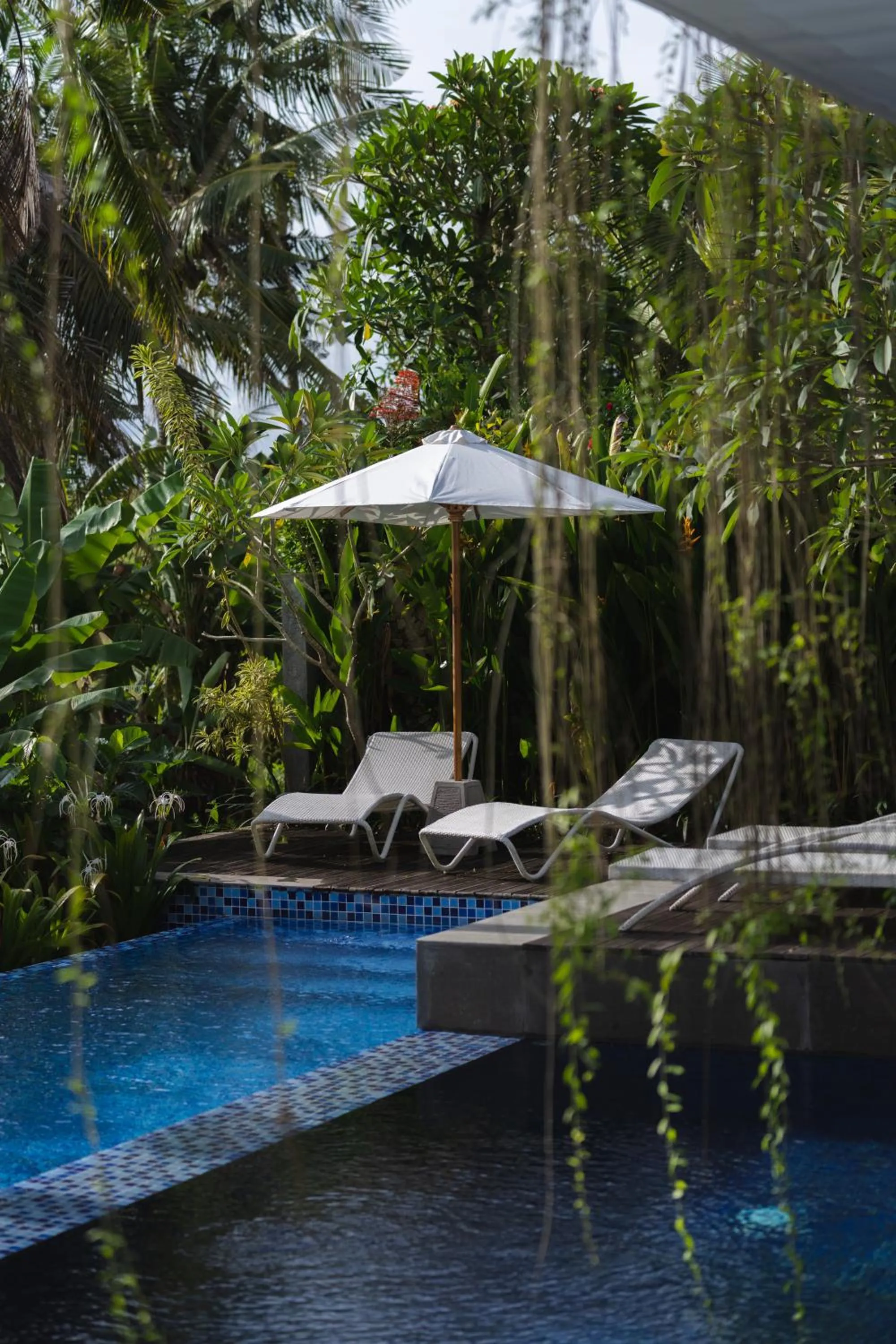 Spring in AmantraNa Canggu