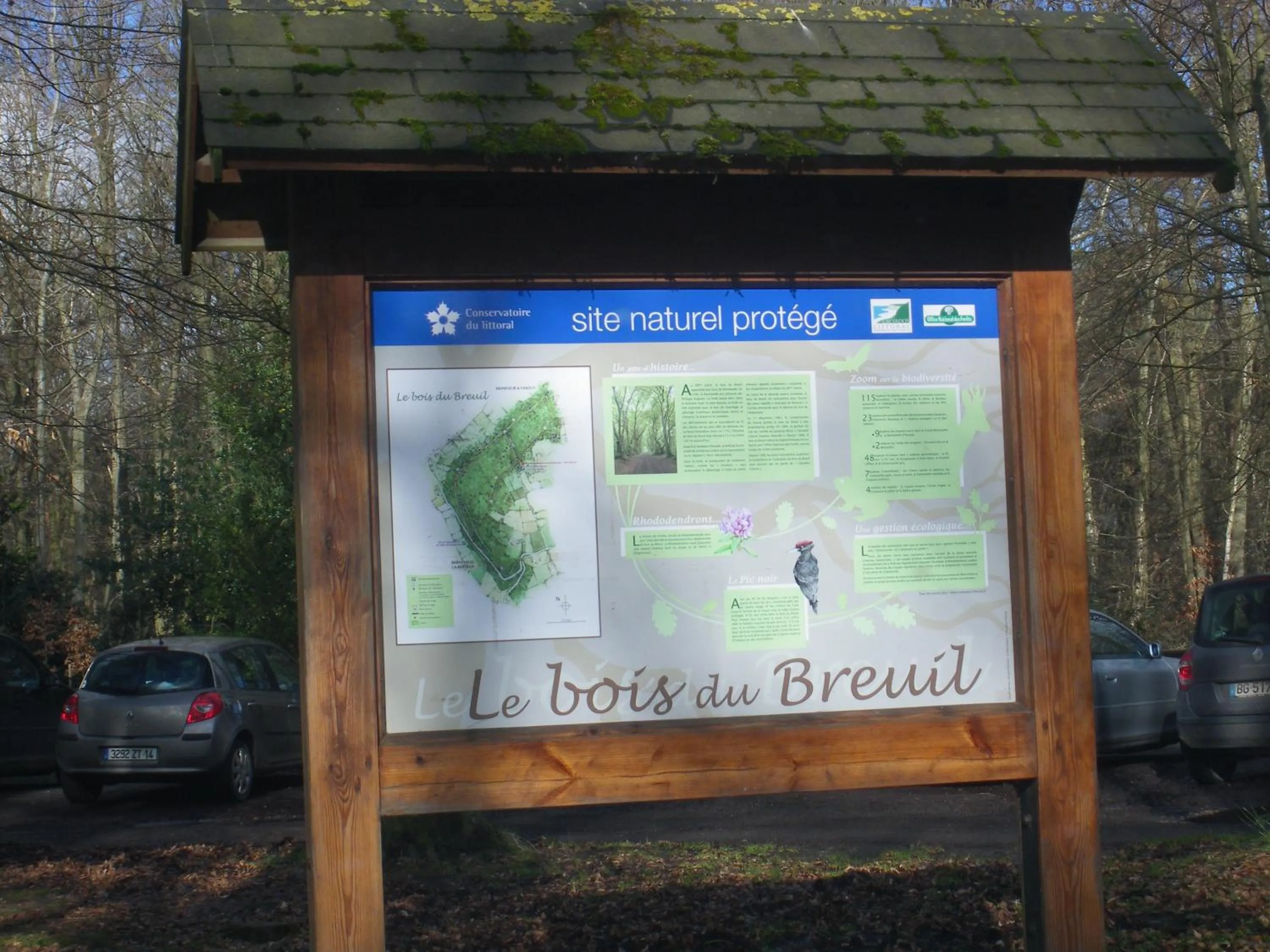 Property building in Les Coquillettes