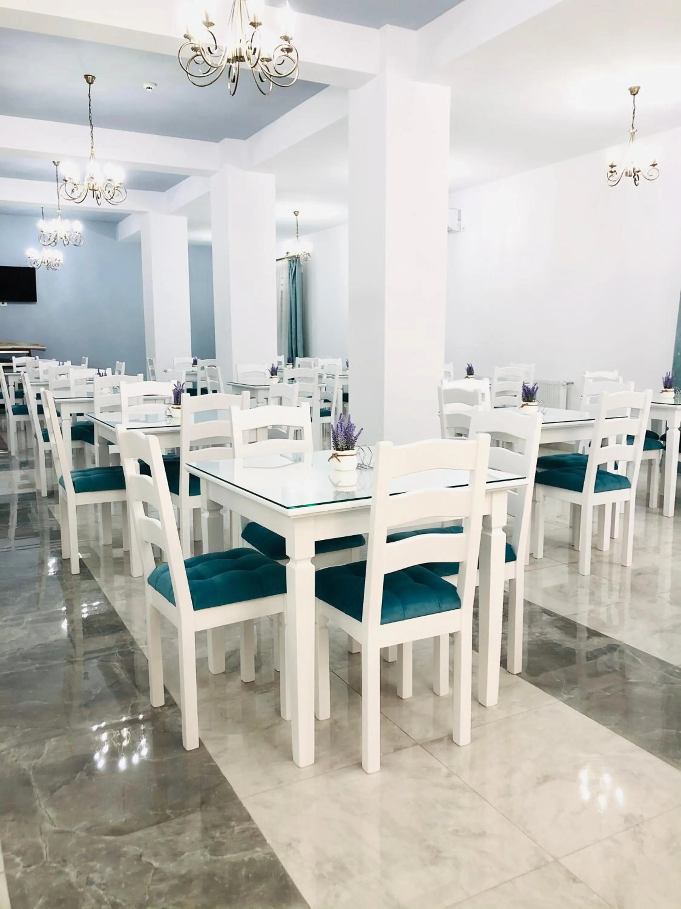 Restaurant/places to eat in Hotel Tadora