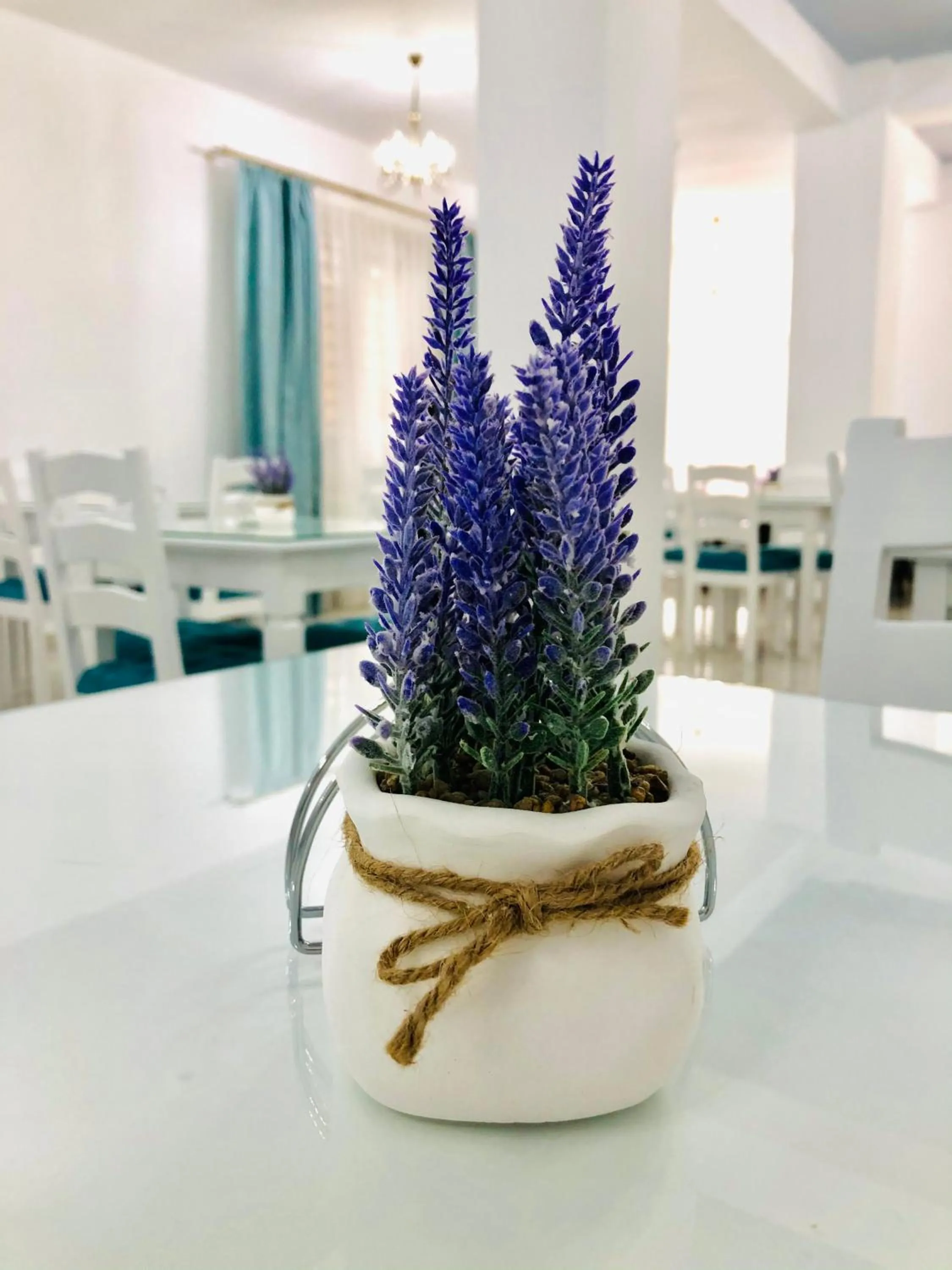 Restaurant/places to eat in Hotel Tadora