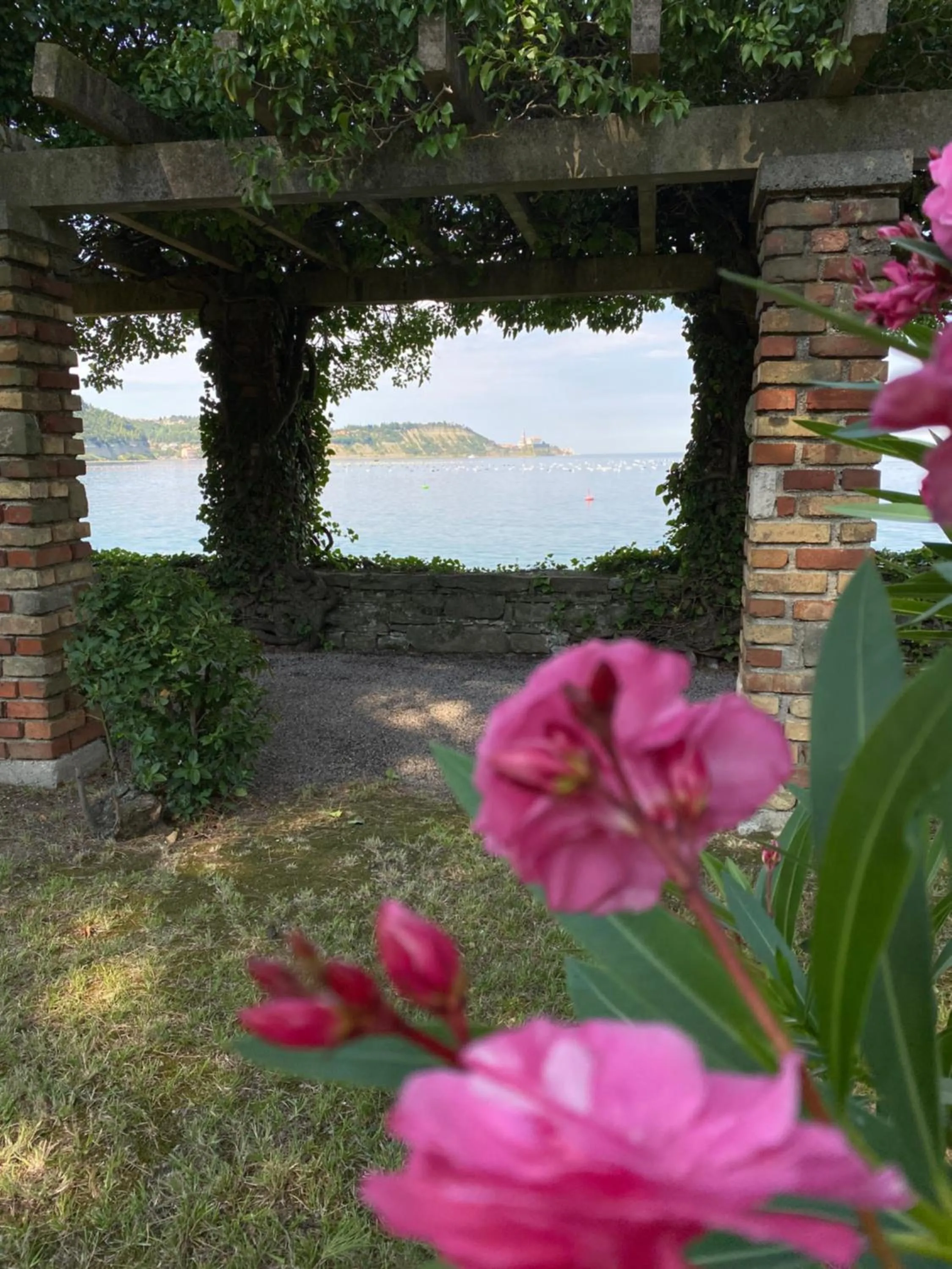 Day in Vila Tartini