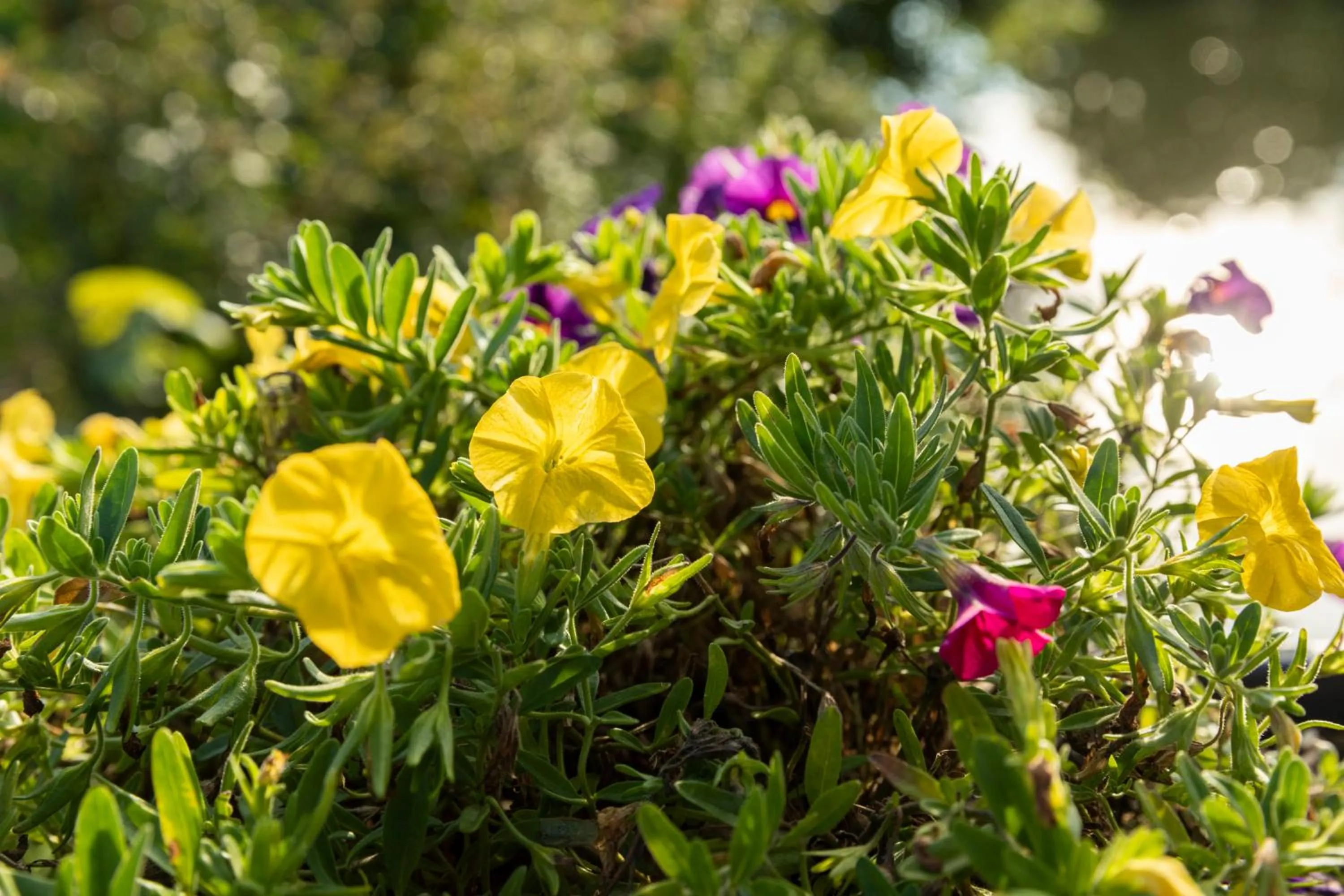 View (from property/room) in Hotel am Ludwigskanal