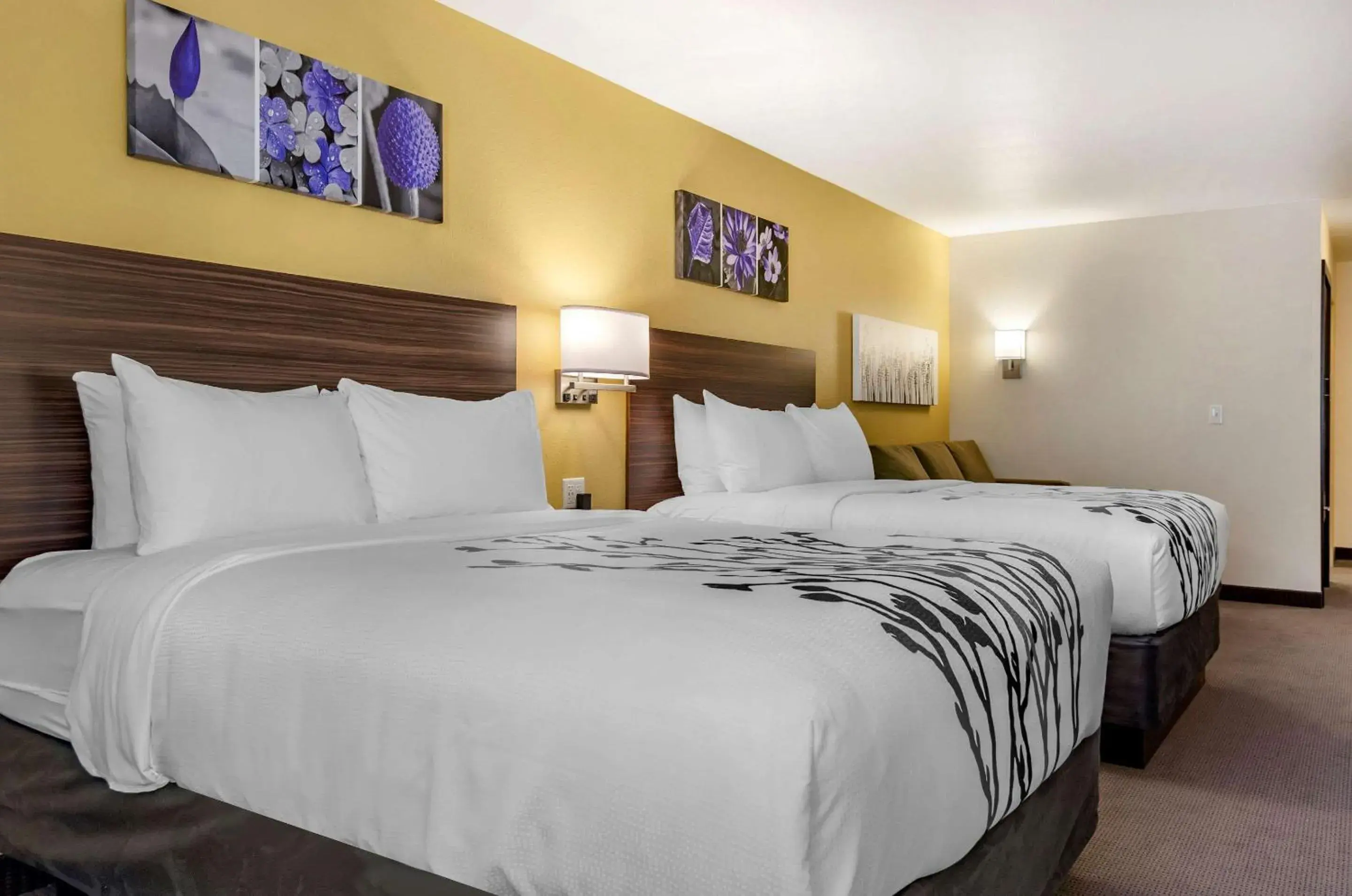 Standard Queen Room with Two Queen Beds - Non-Smoking in Sleep Inn & Suites Great Falls Airport Standard Queen Room with Two Queen Beds - Non-Smoking in Sleep Inn & Suites Great Falls Airport