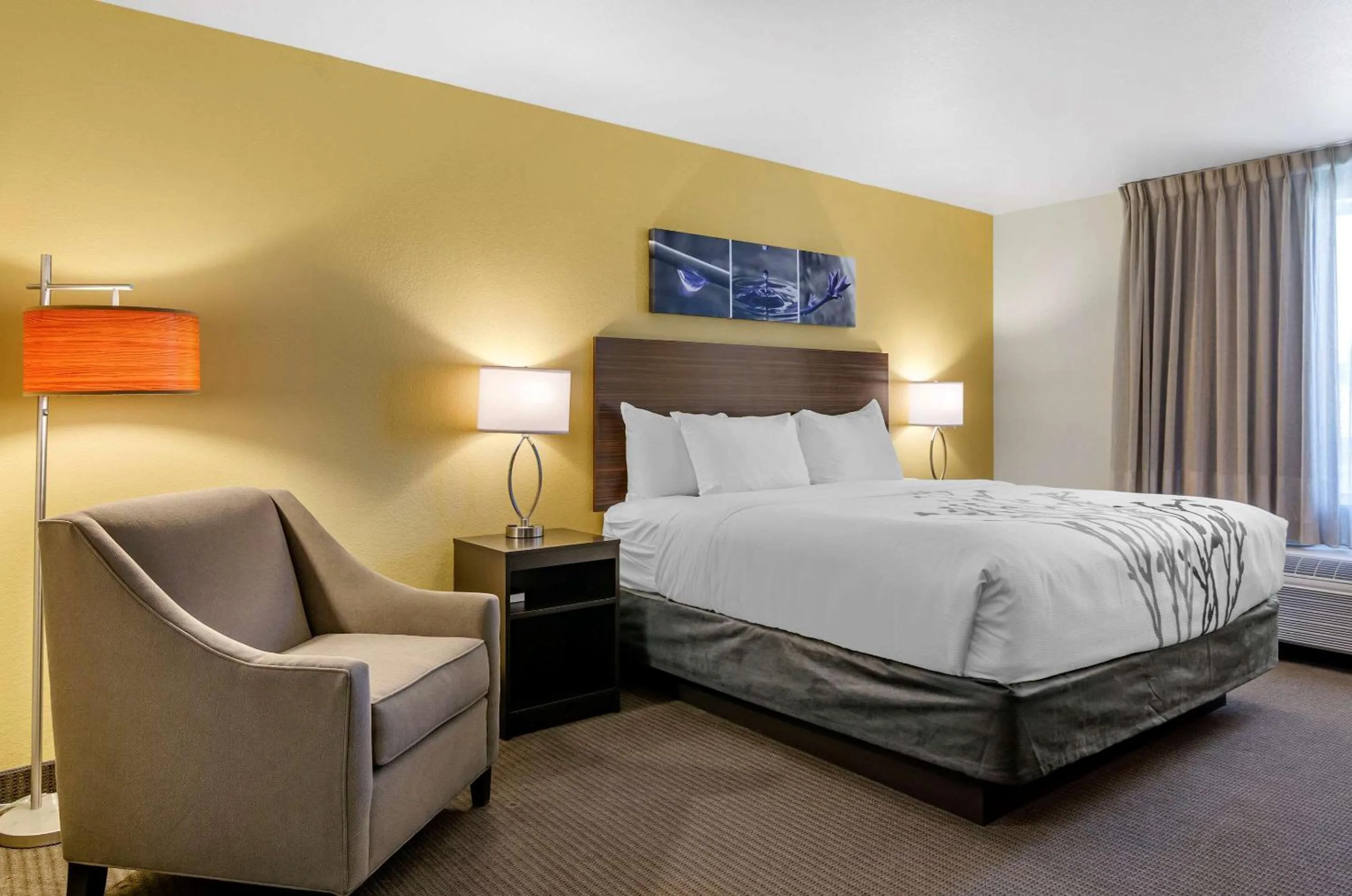 Photo of the whole room, Bed in Sleep Inn & Suites Great Falls Airport