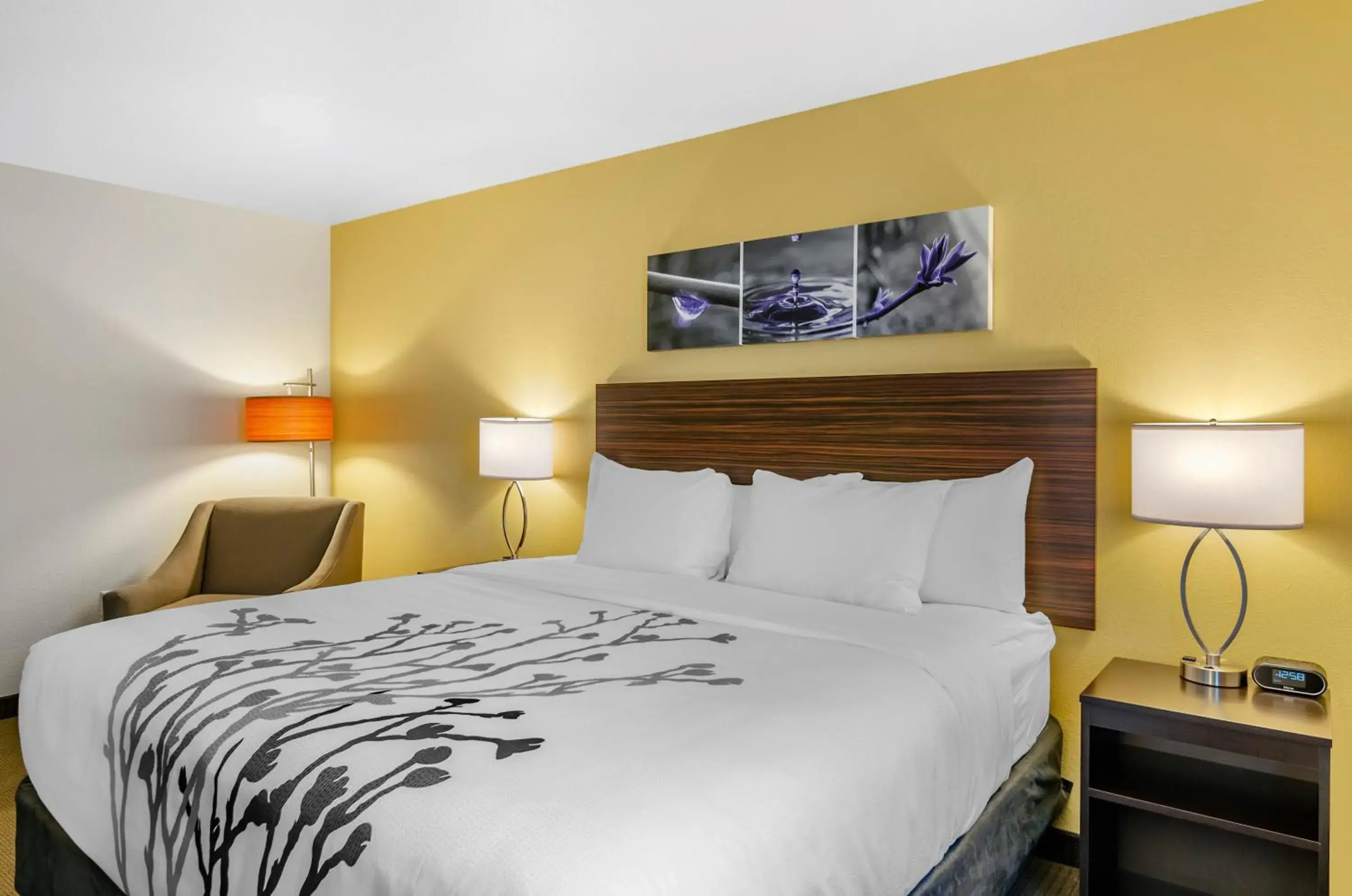 Bed in Sleep Inn & Suites Great Falls Airport Bed in Sleep Inn & Suites Great Falls Airport