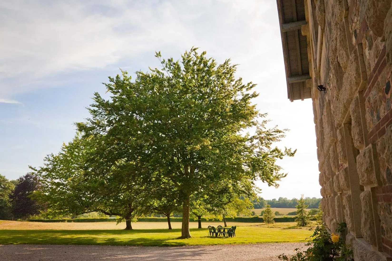 Garden in Chateau de Joyeux - Chambres d'Hotes