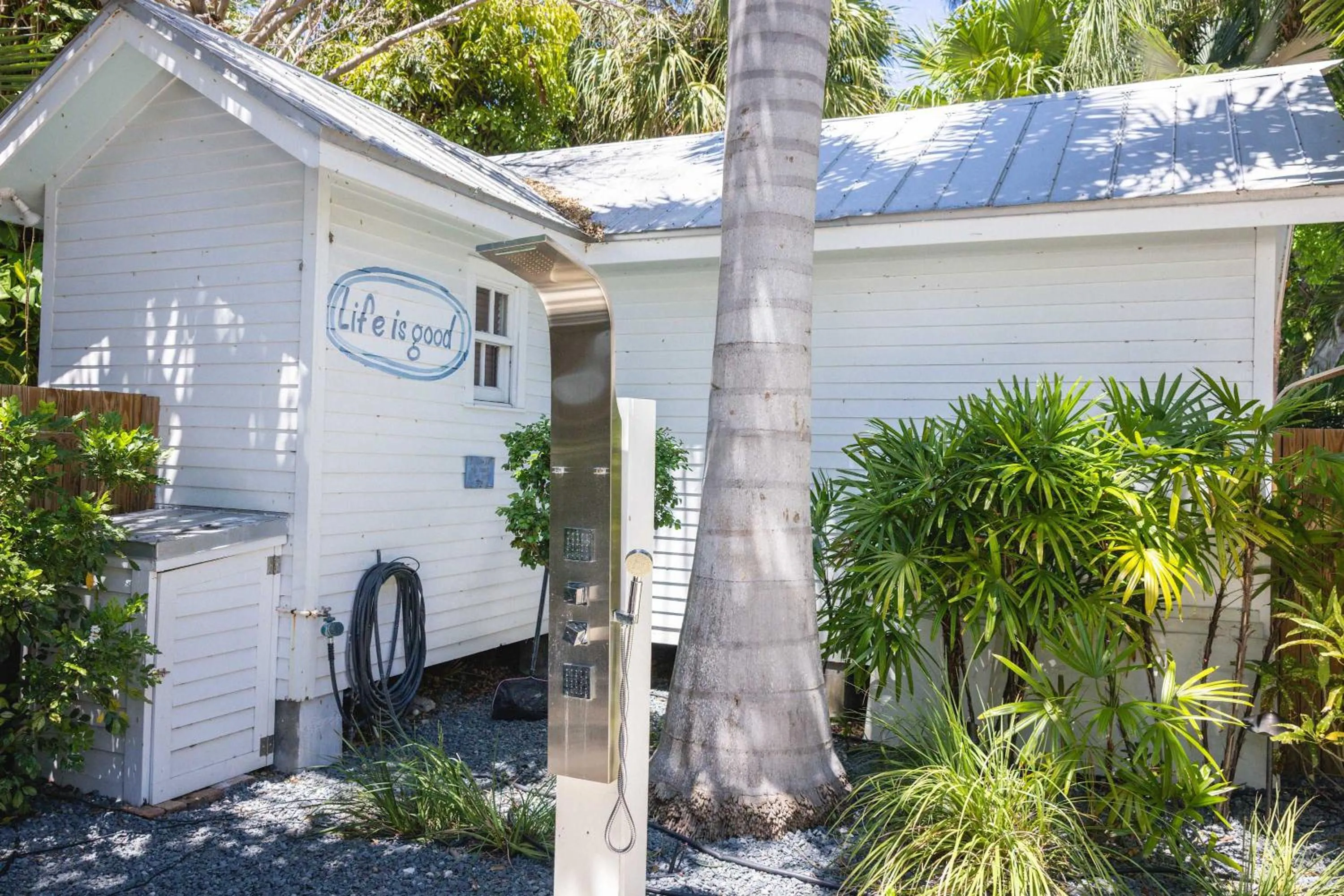 Southern Palms