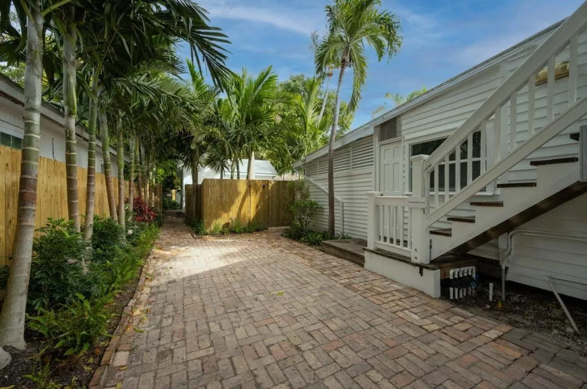 Southern Palms