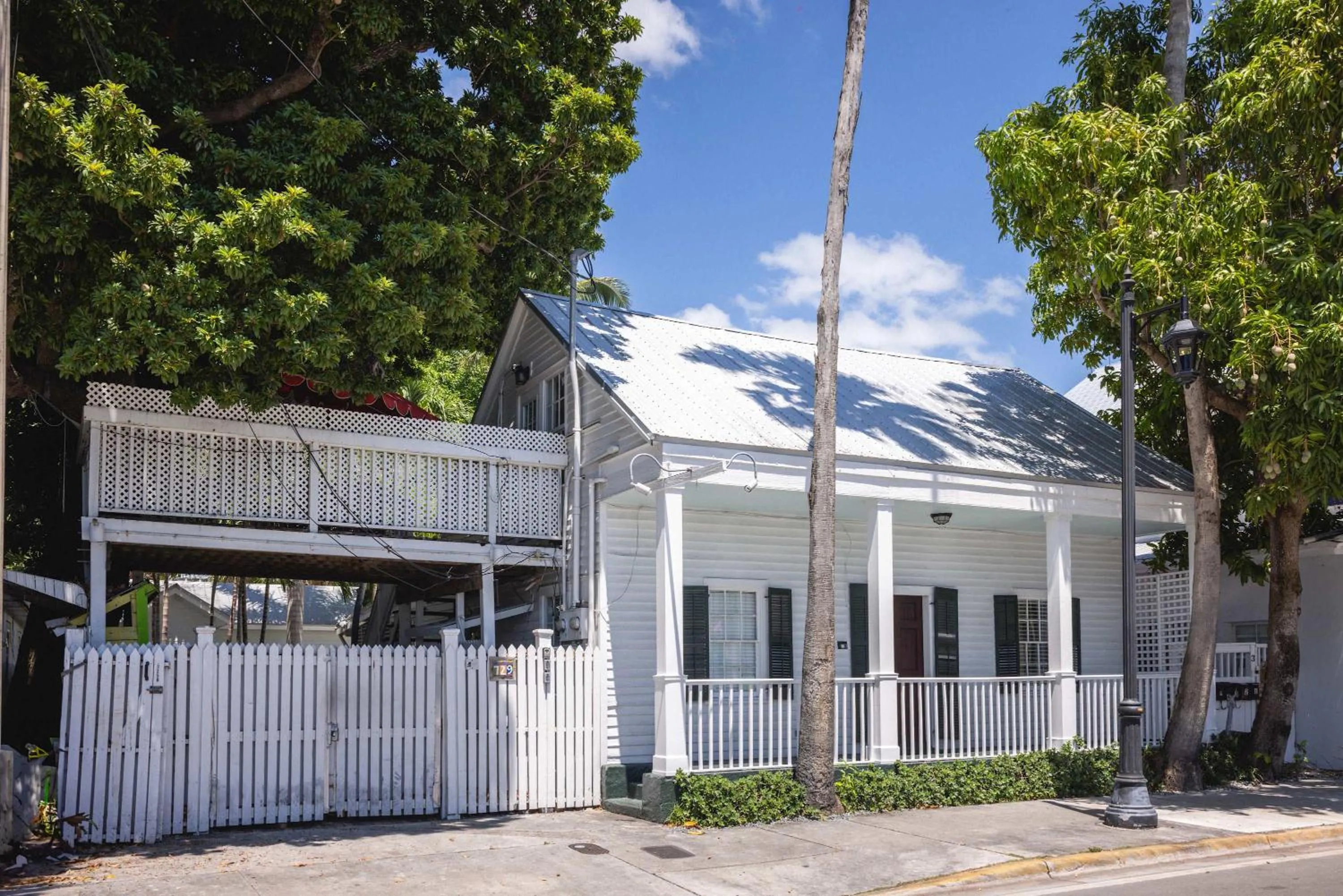 Southern Palms