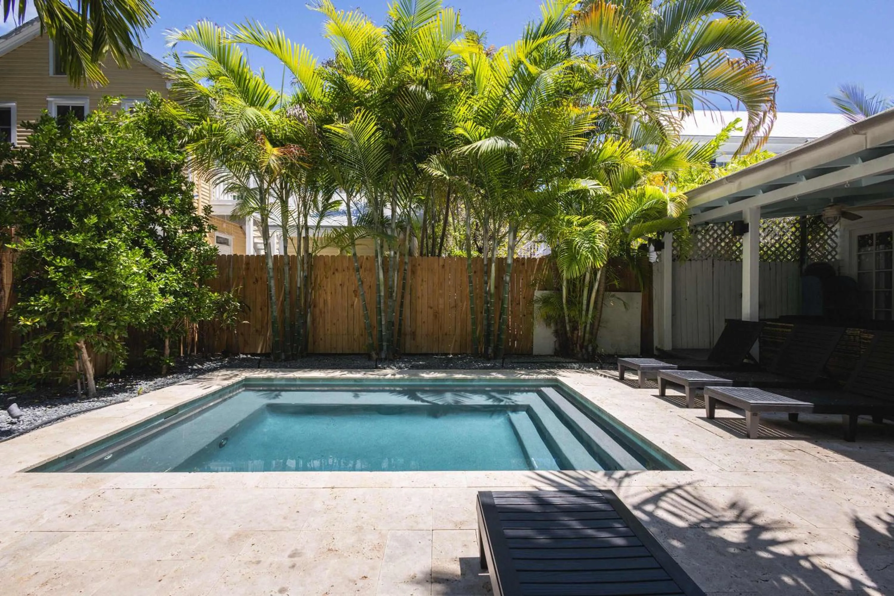 Southern Palms