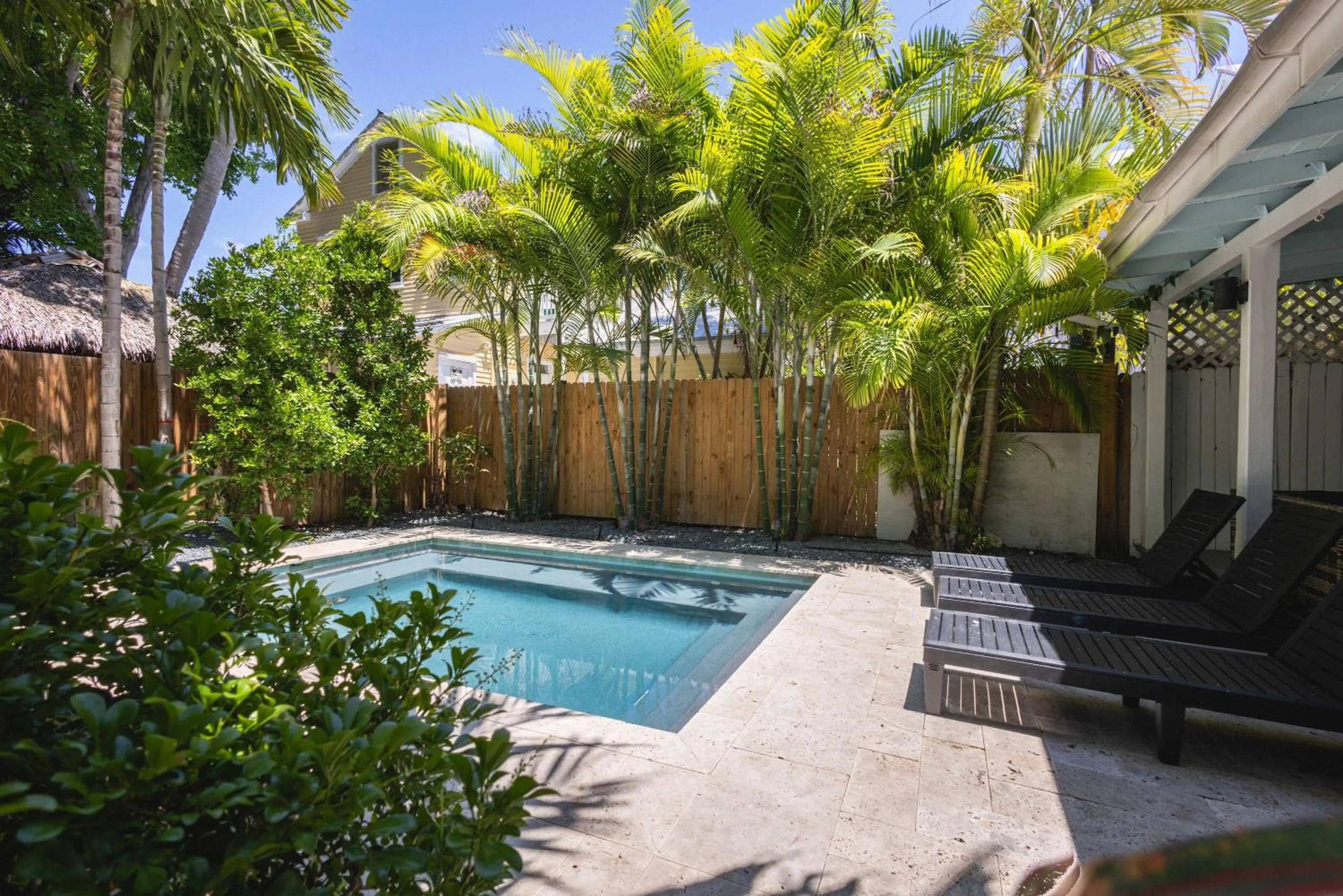 Southern Palms