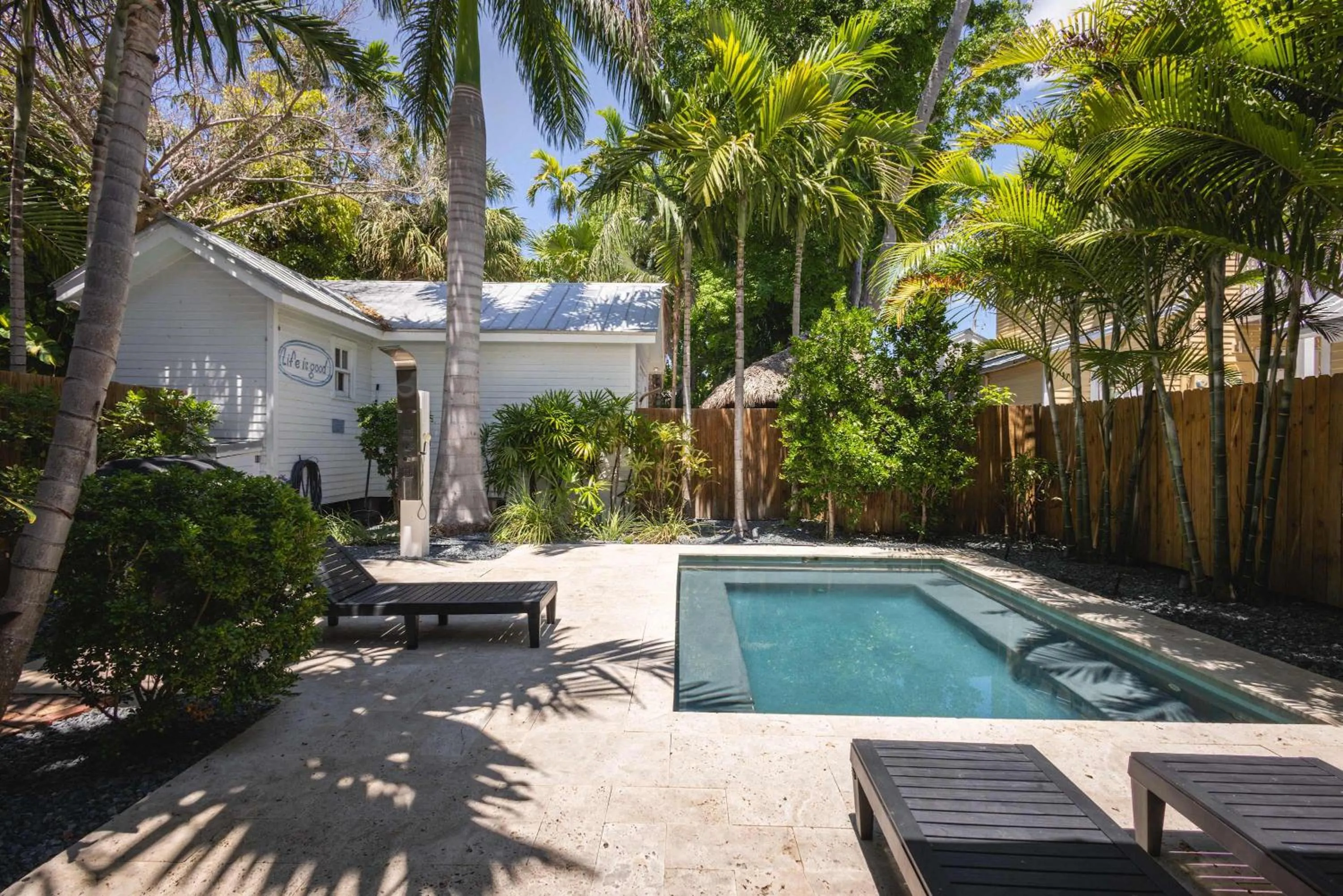 Southern Palms