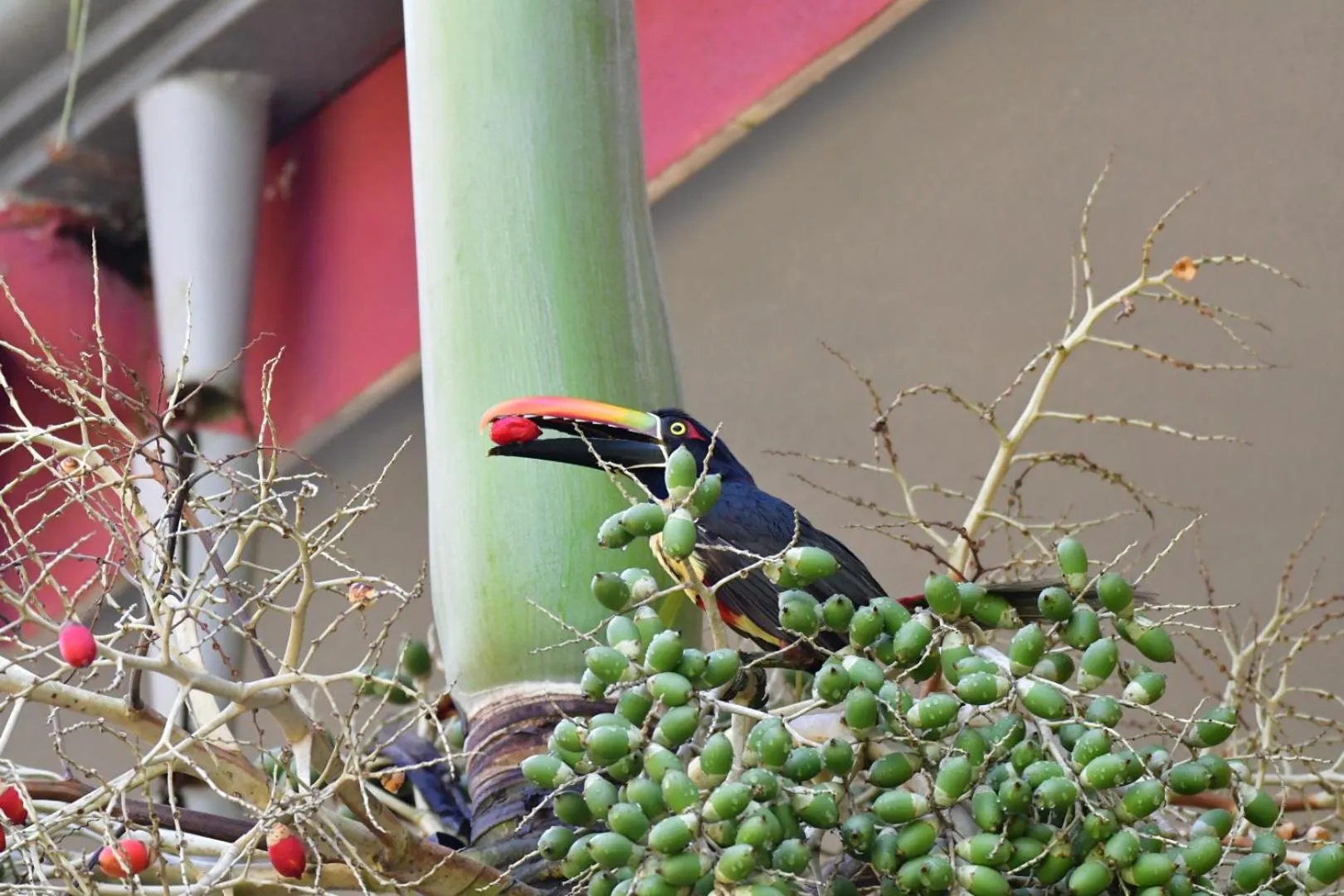 Natural landscape in Hotel LUZ de LUNA Bahía Ballena