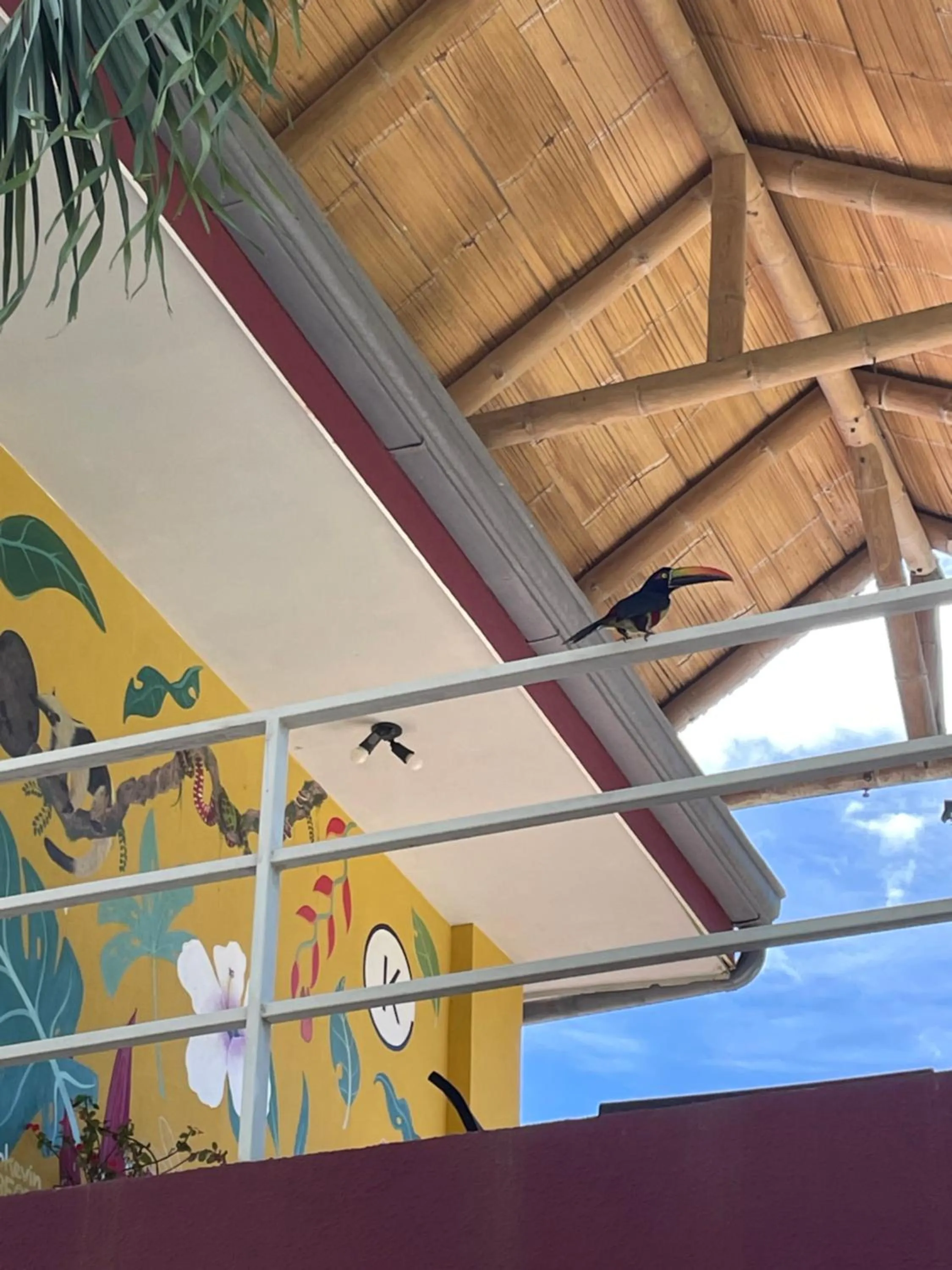 Balcony/Terrace in Hotel LUZ de LUNA Bahía Ballena