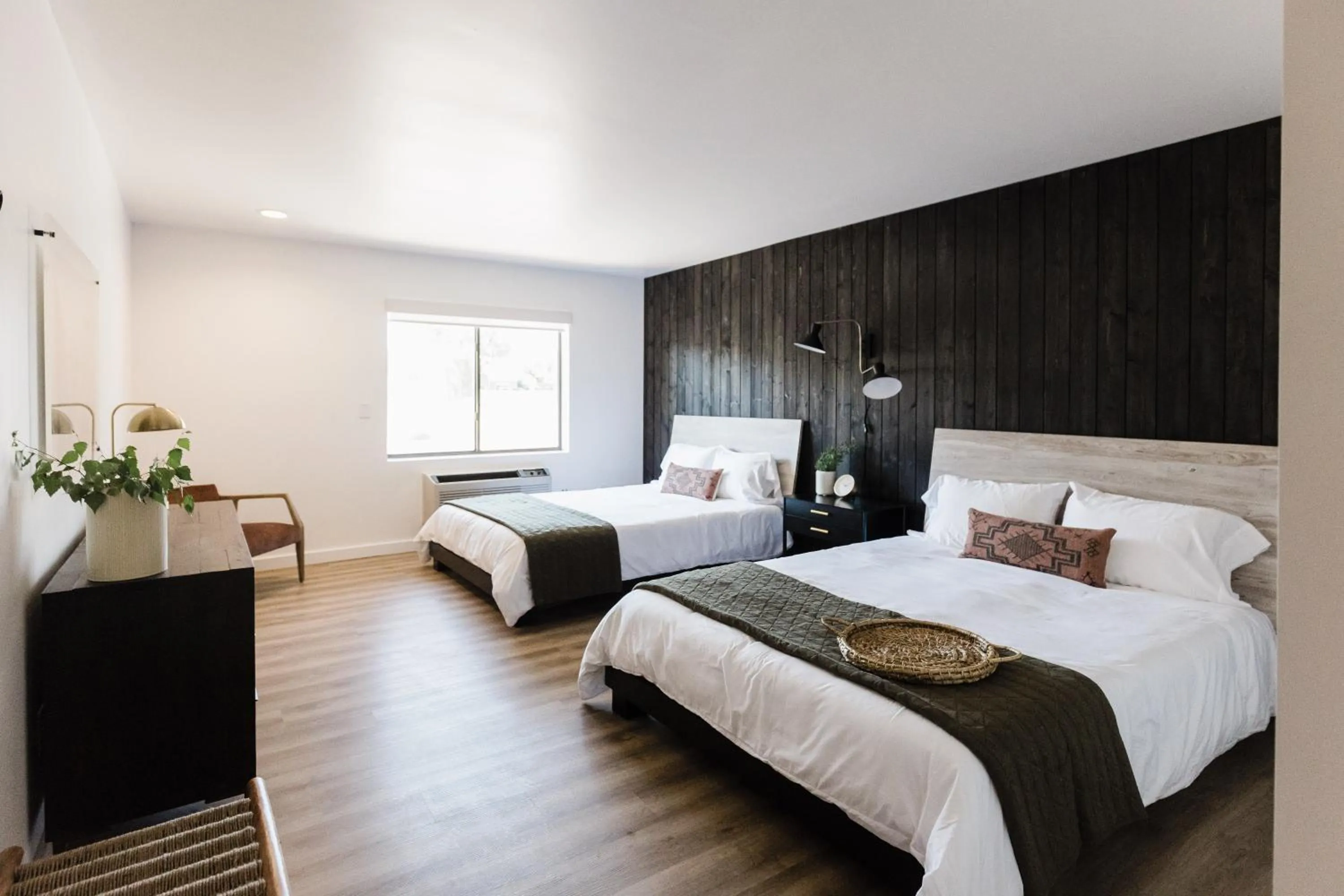 Bed in Wonderstone at Glacier