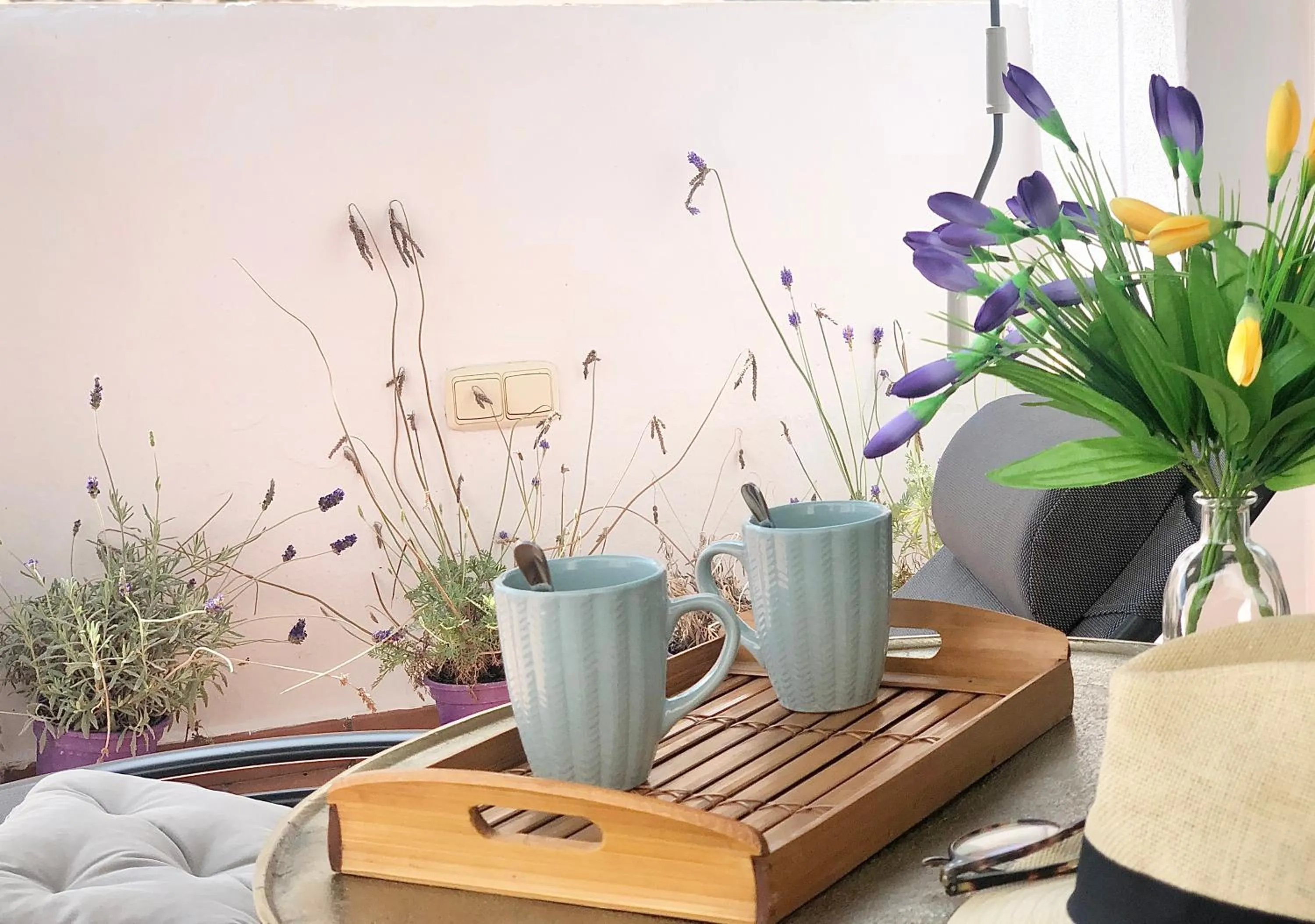 Garden in Suites La Merced