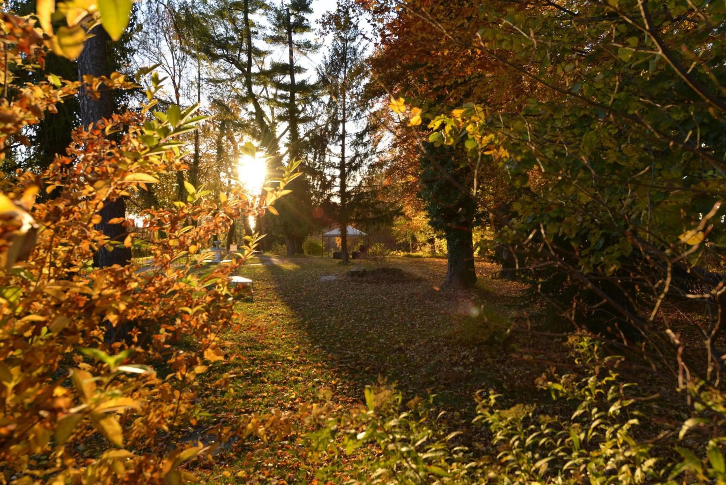 Garden in Biohotel Schlossgut Oberambach