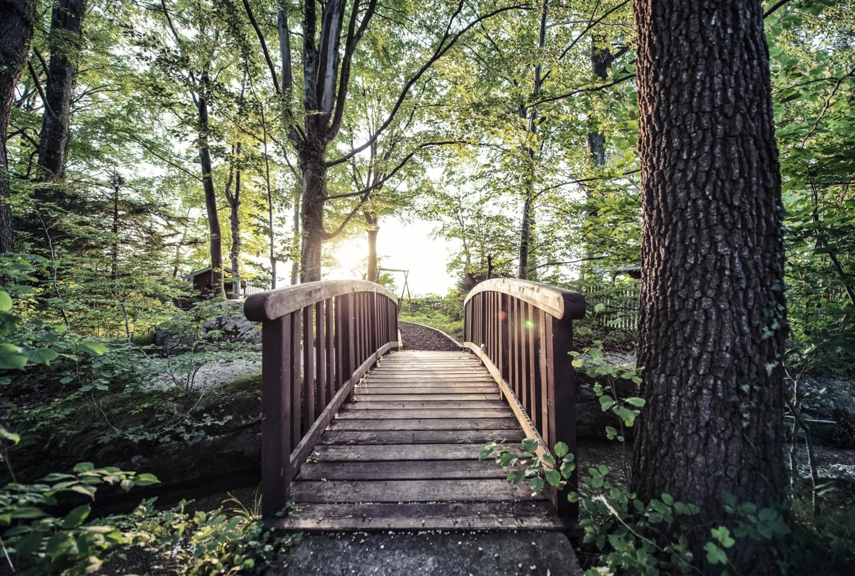 Garden in Biohotel Schlossgut Oberambach