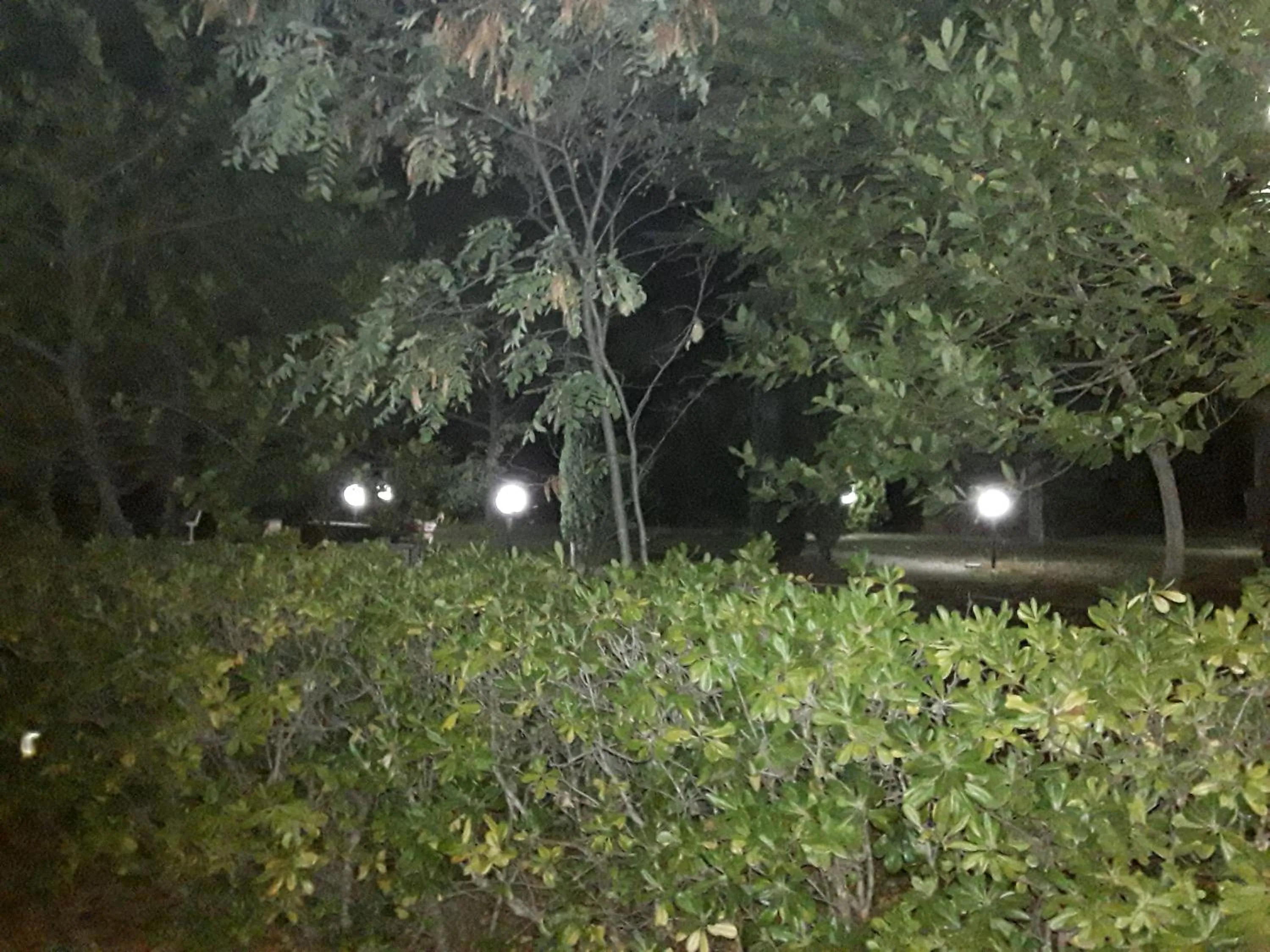 Night in La Casa nel Verde